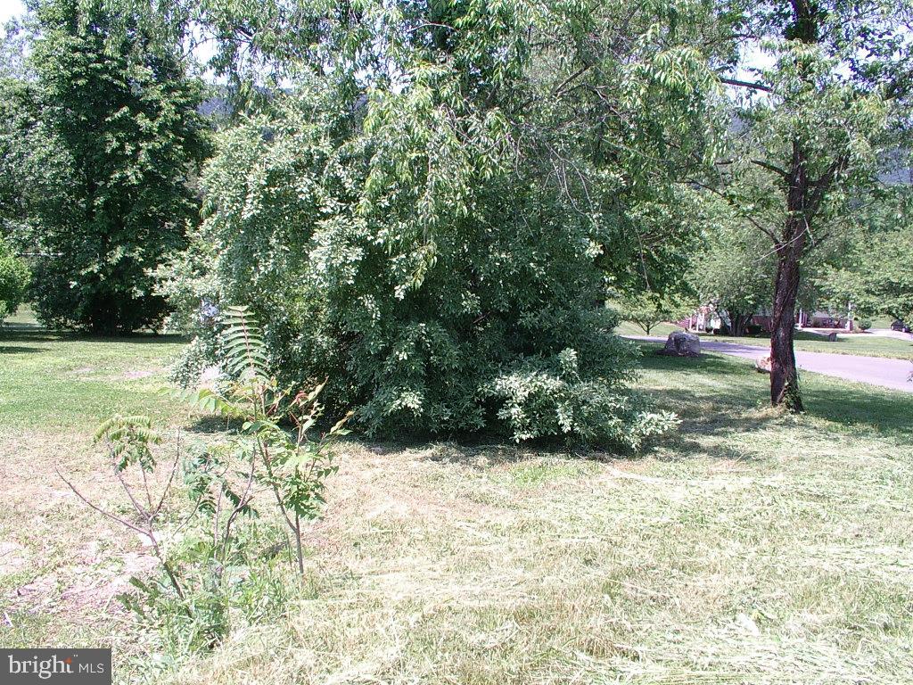 APPLE ORCHARD ACRES - Residential