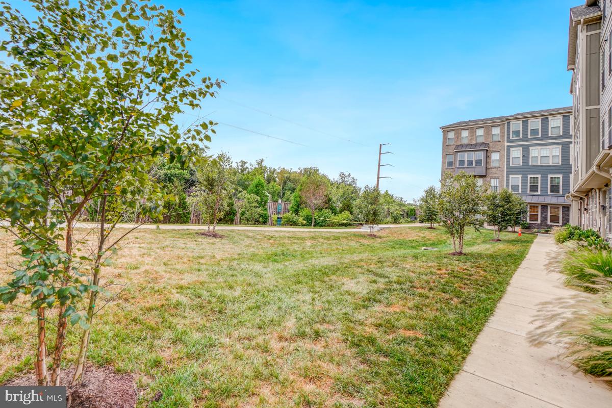 408 PULLMAN PLACE B