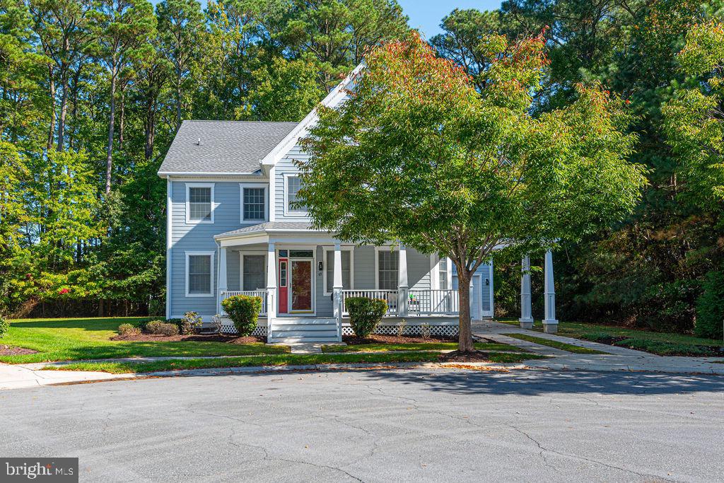 93 TULIP POPLAR TURN