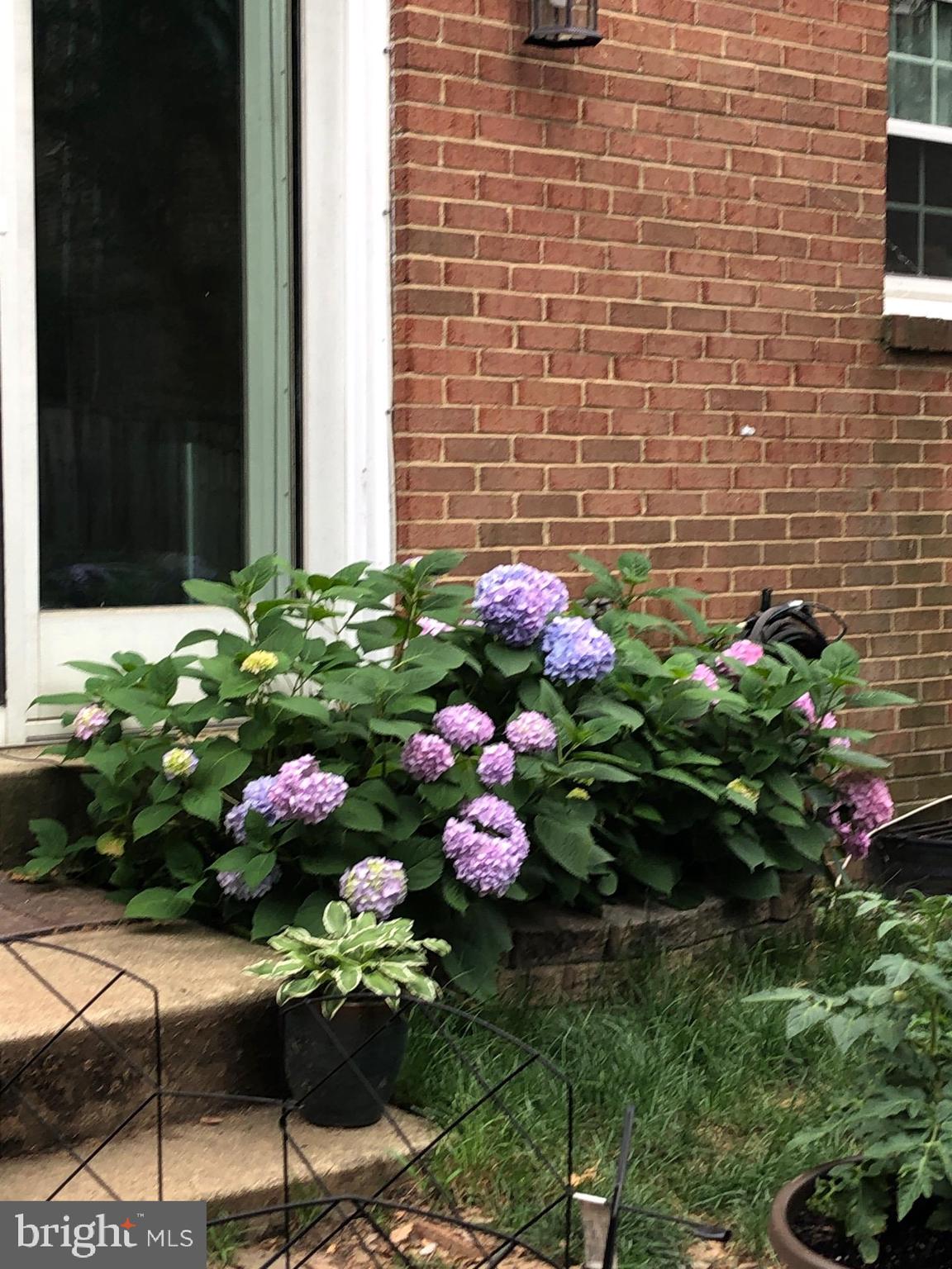 MT VERNON SQUARE TOWNHOUSE - Residential