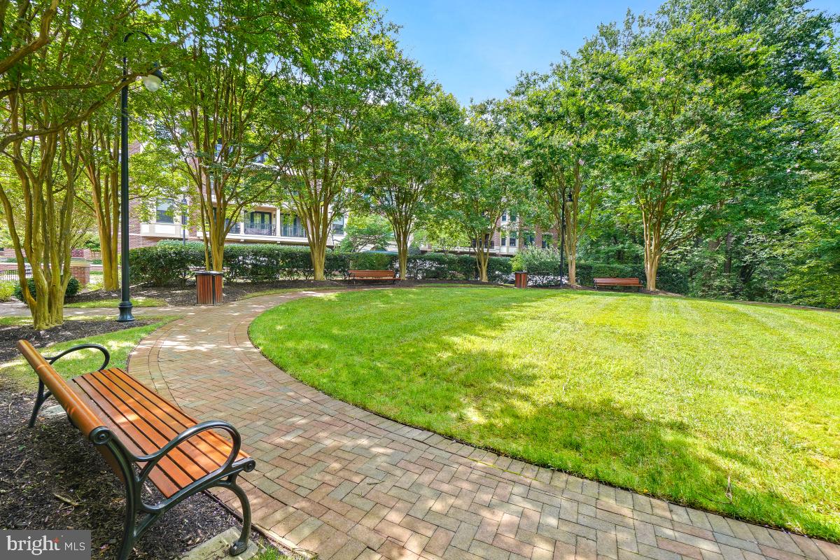 STRATHMORE PARK - Residential