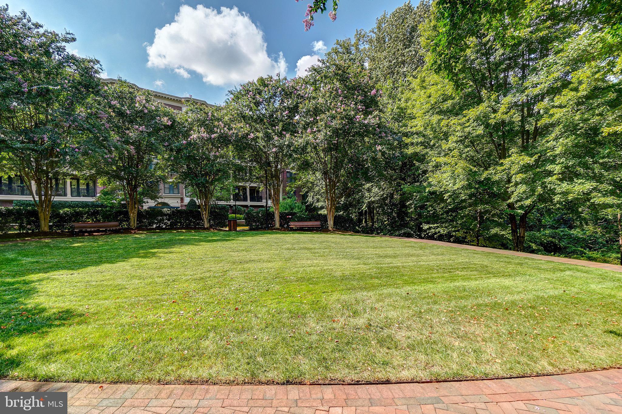 STRATHMORE PARK - Residential