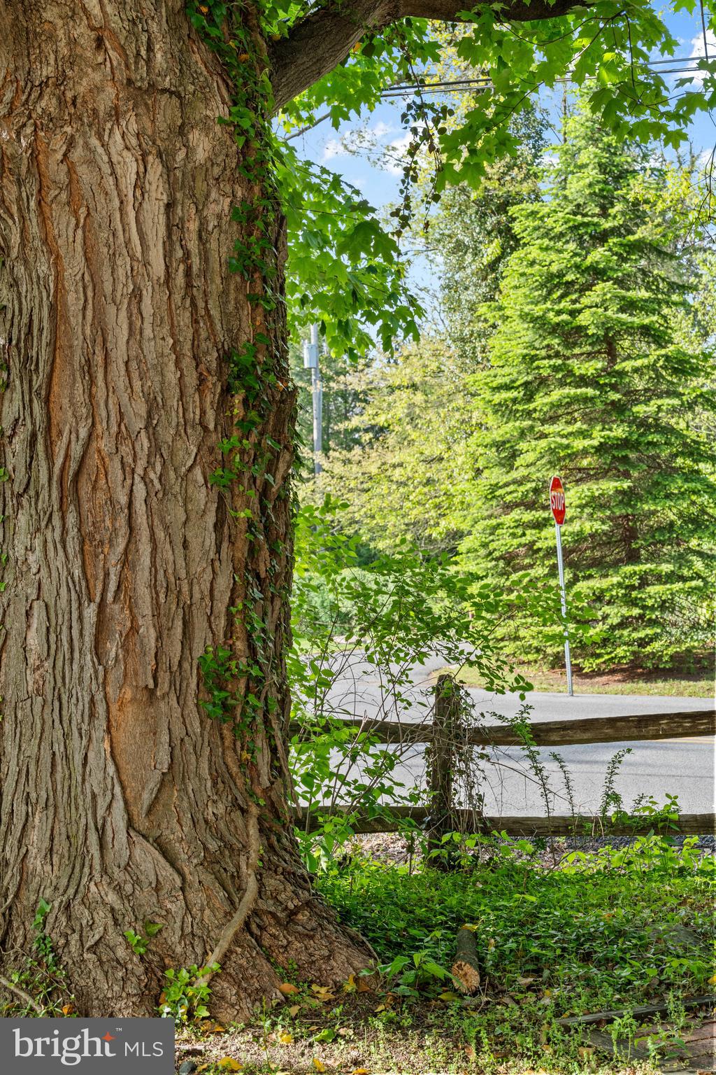 MANSION PARK - Residential