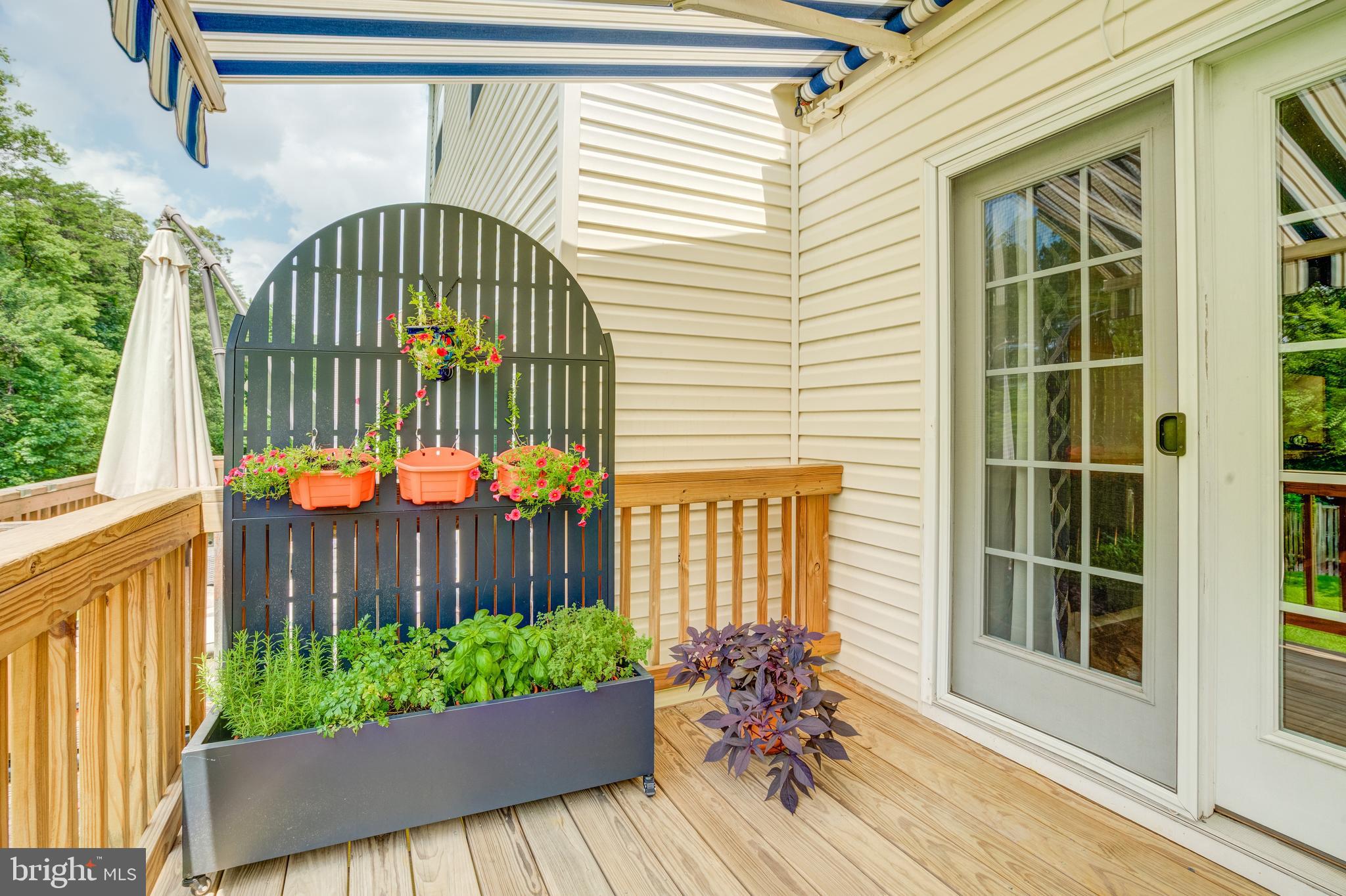 PRESERVE AT PINE RIDGE - Residential