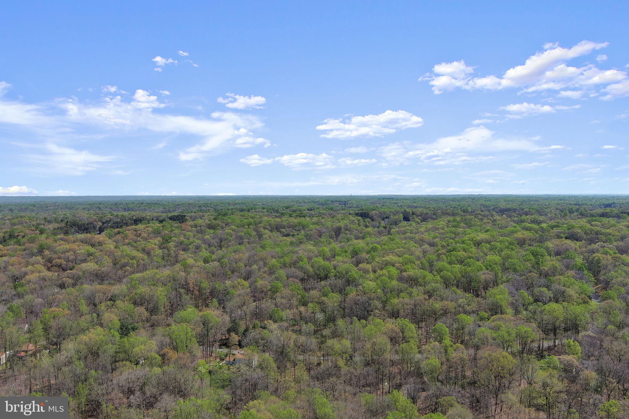 WOODBINE WOODS - Residential