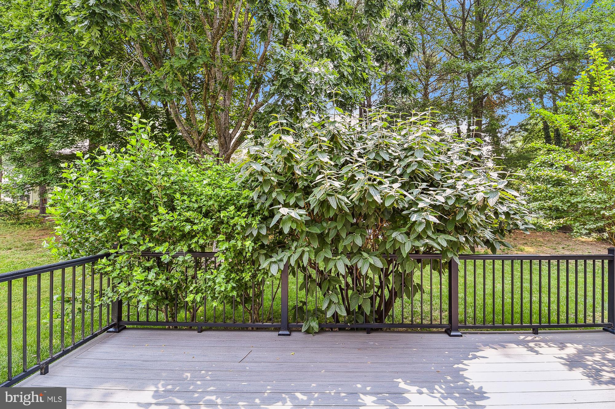 HUNT MEADOW - Residential