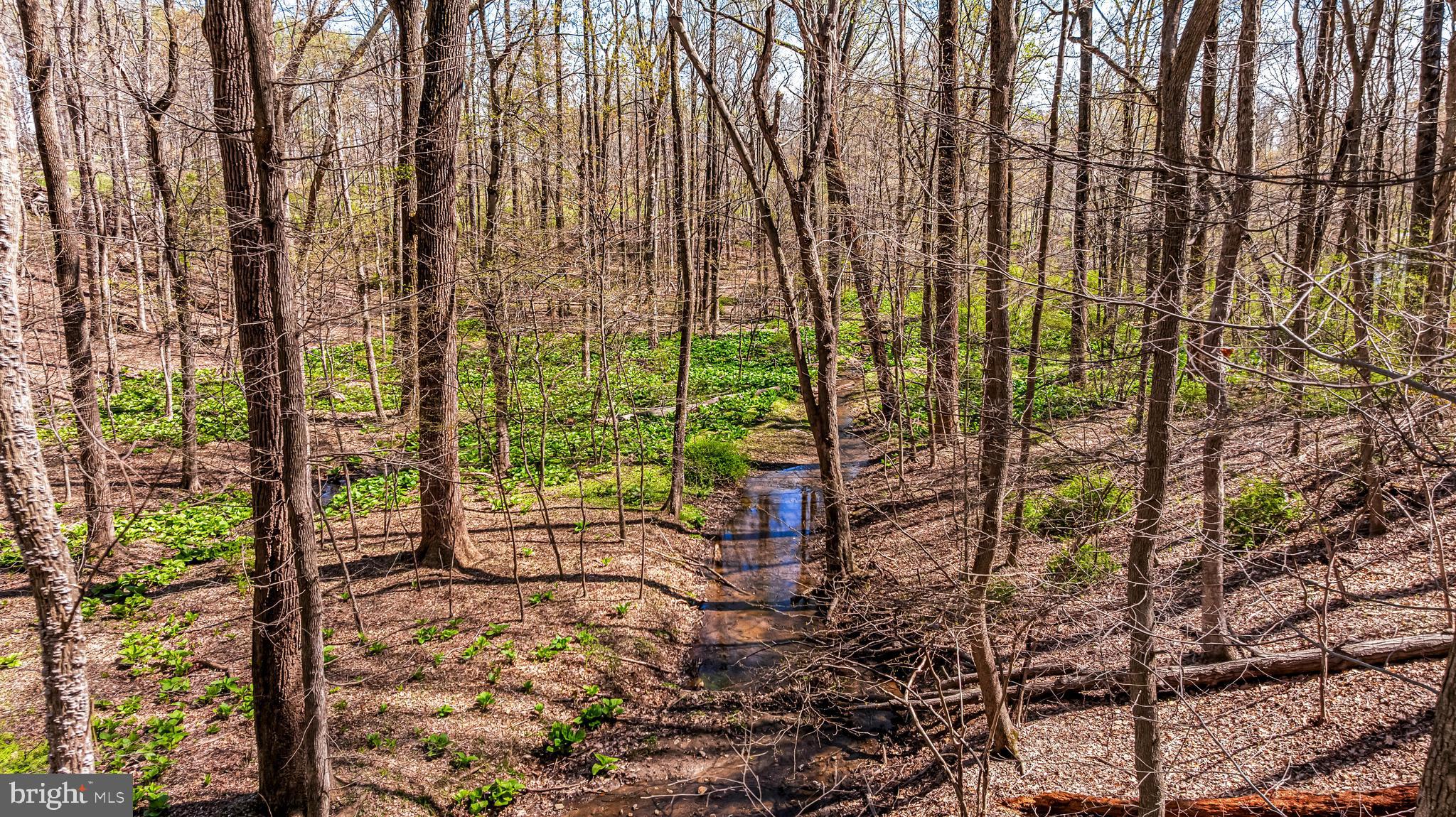 FALLSWOOD - Residential