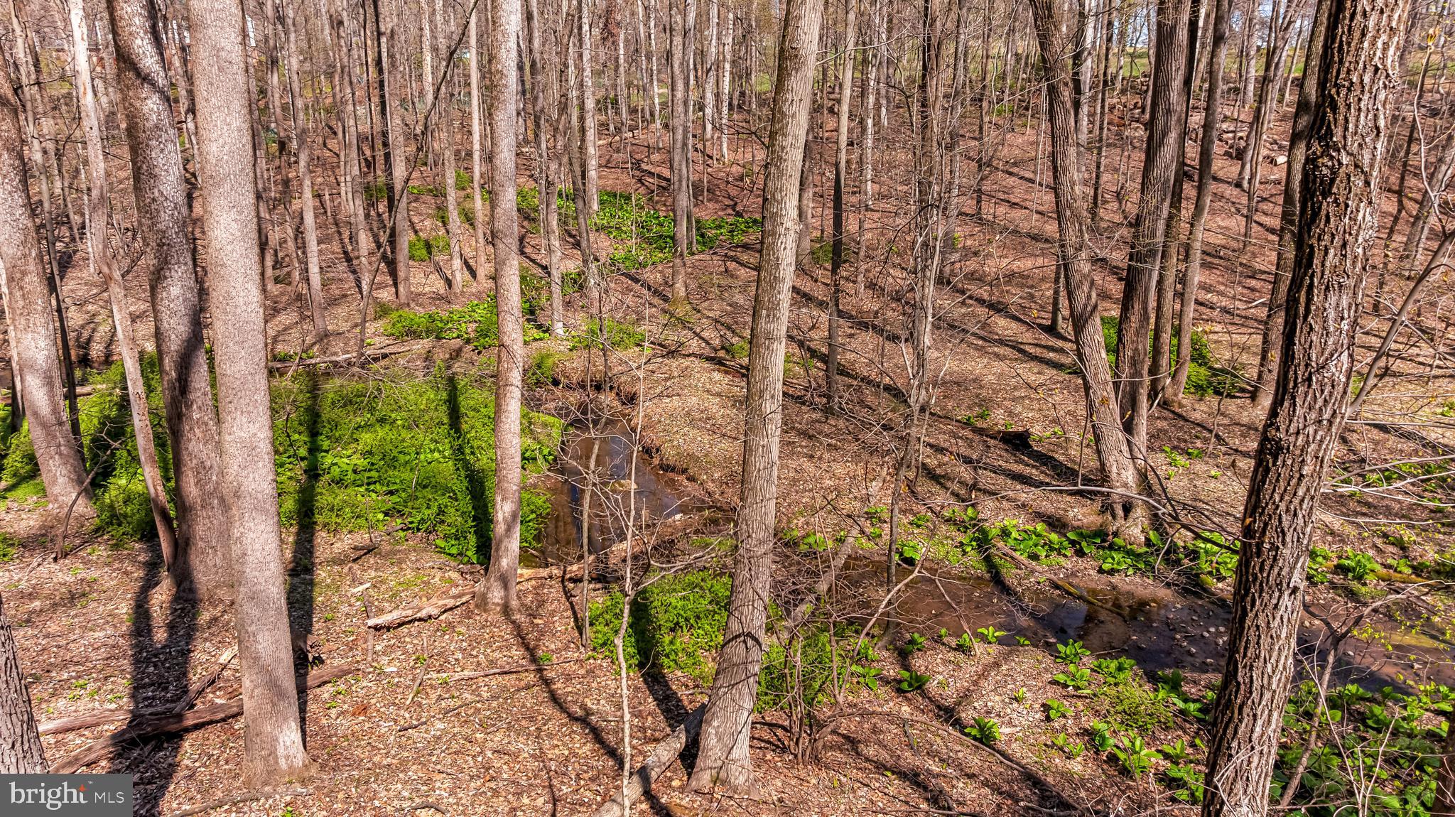 FALLSWOOD - Residential