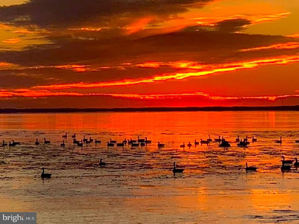 6520 SWAN CREEK ROAD