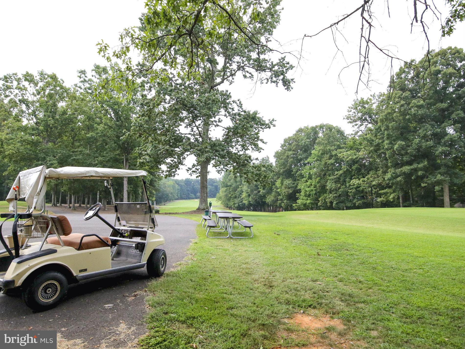 LAKE OF THE WOODS - Residential