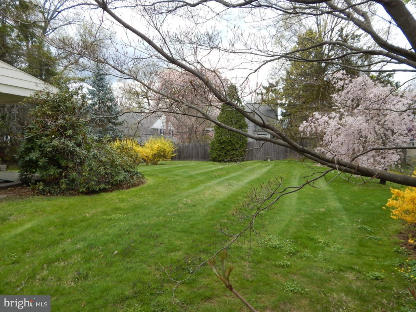 WYNDMOOR - Residential