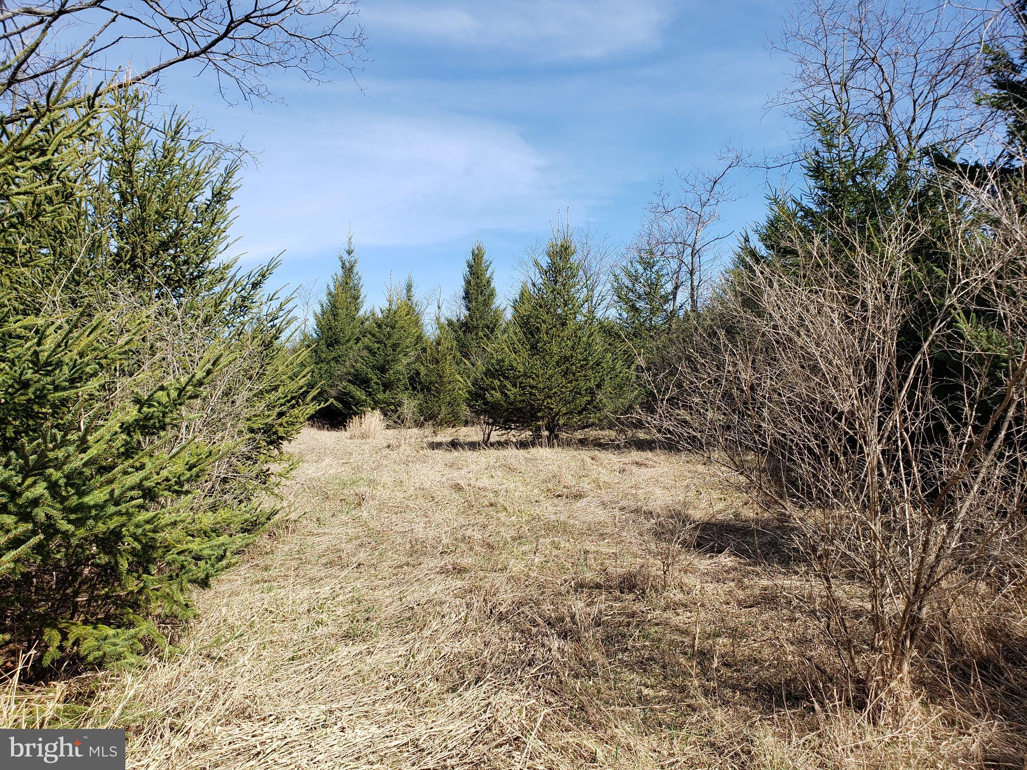 THE SUMMIT OF HARWOOD - Land