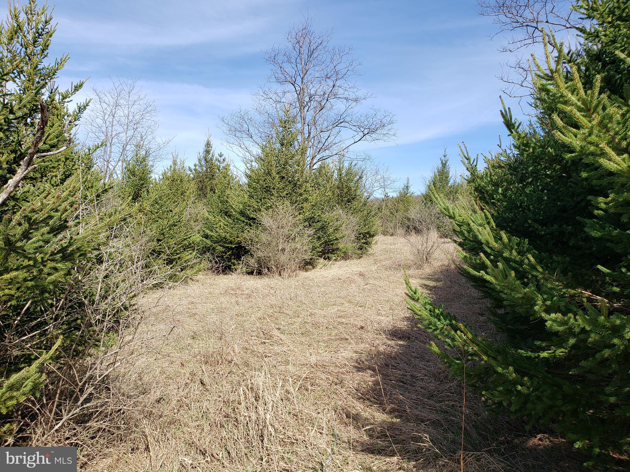 THE SUMMIT OF HARWOOD - Land