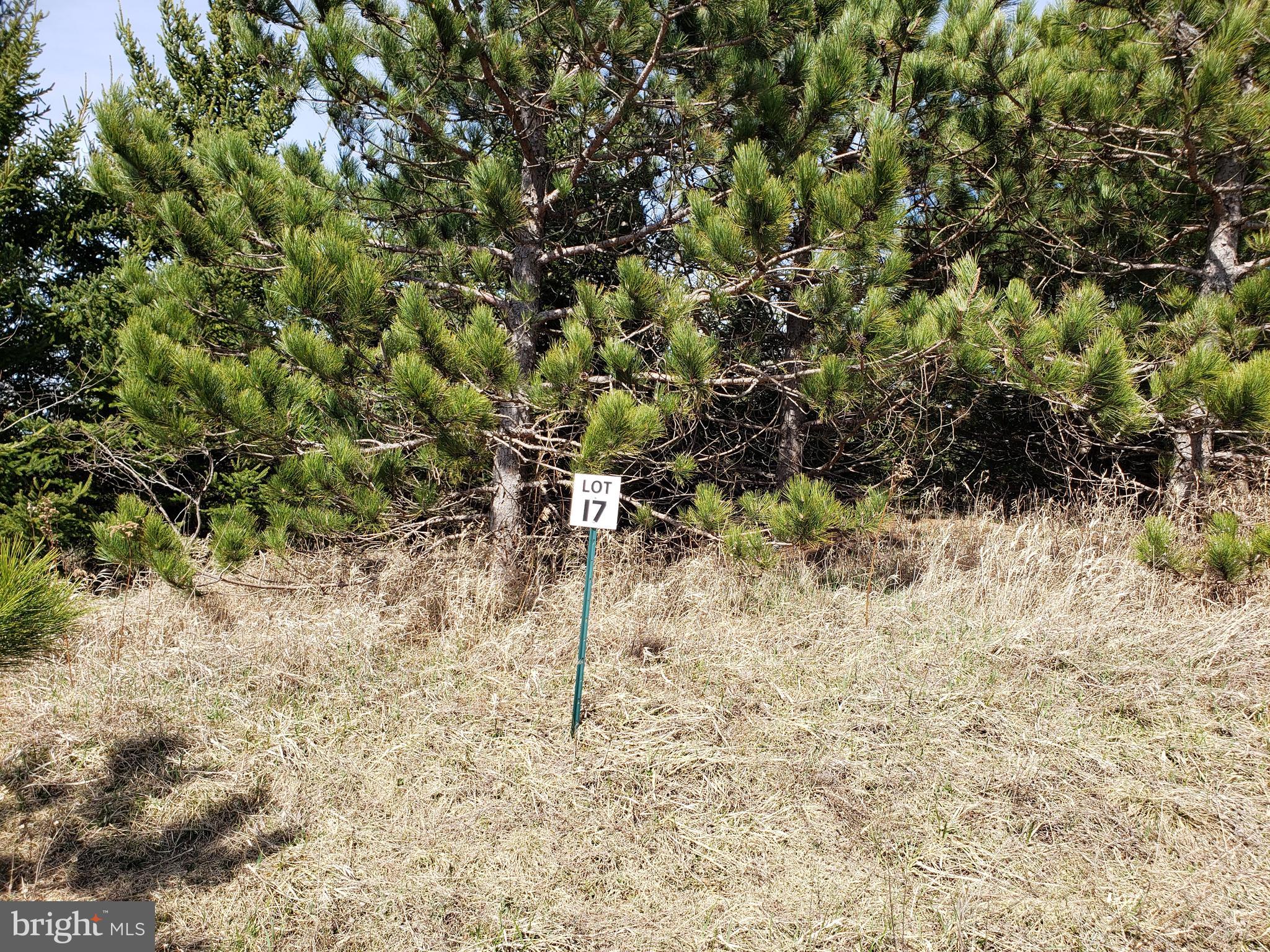 THE SUMMIT OF HARWOOD - Land