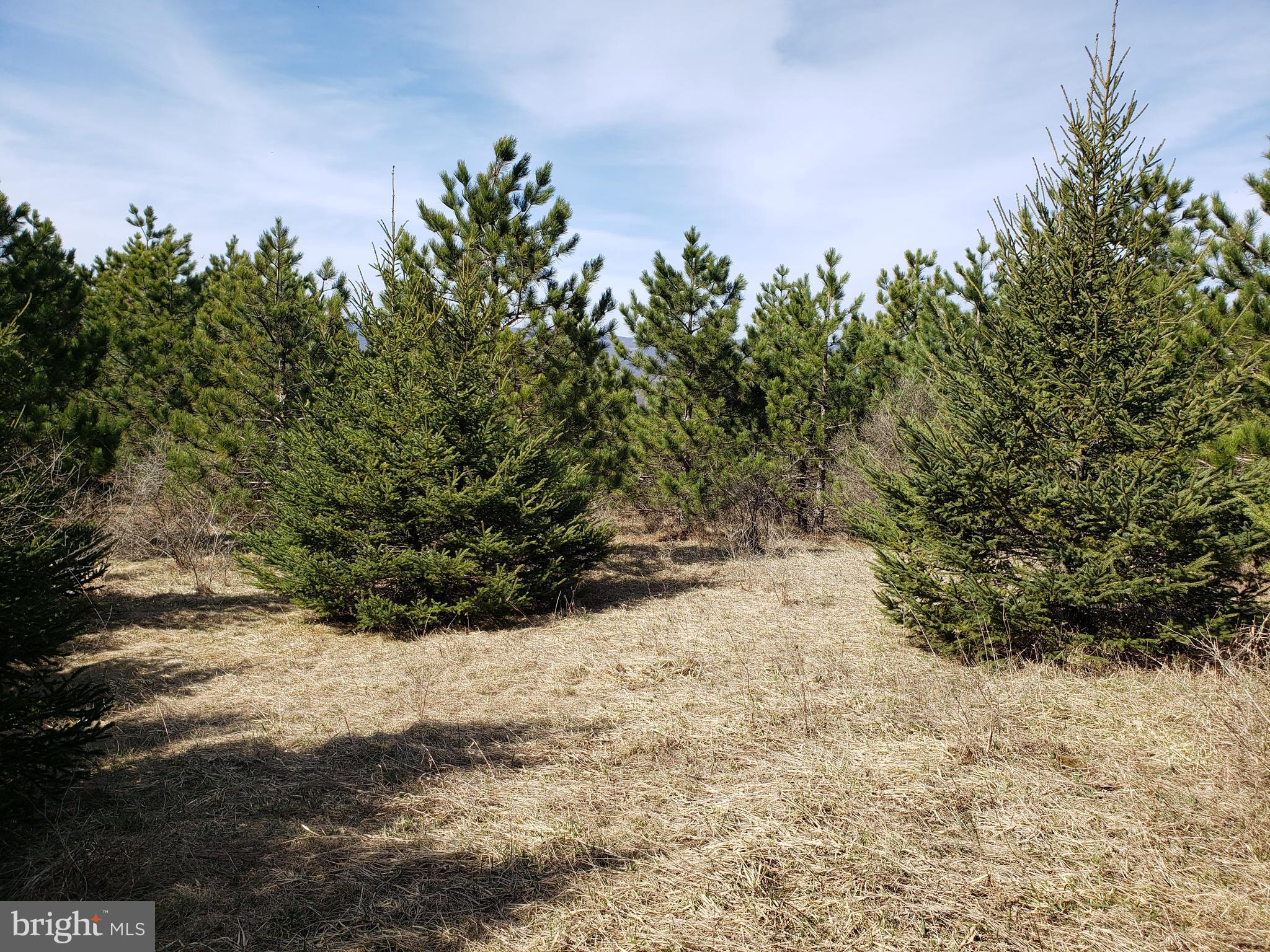 THE SUMMIT OF HARWOOD - Land