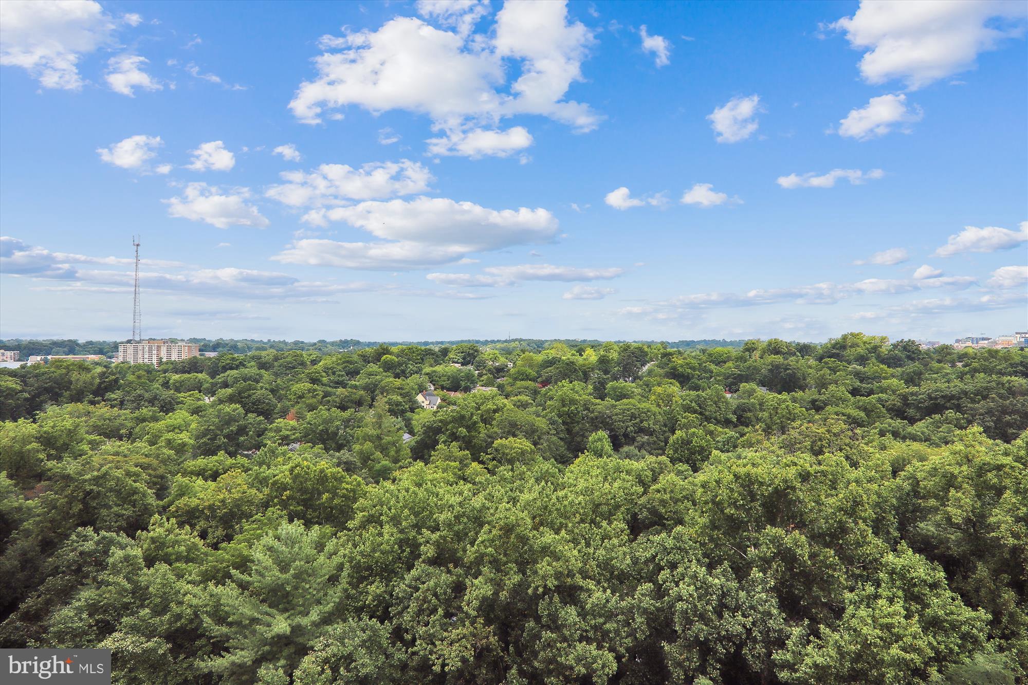 THE ELIZABETH - Residential