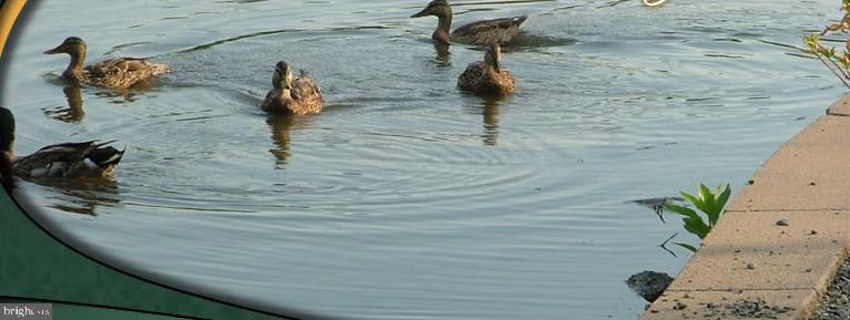 WESTRIDGE - Residential