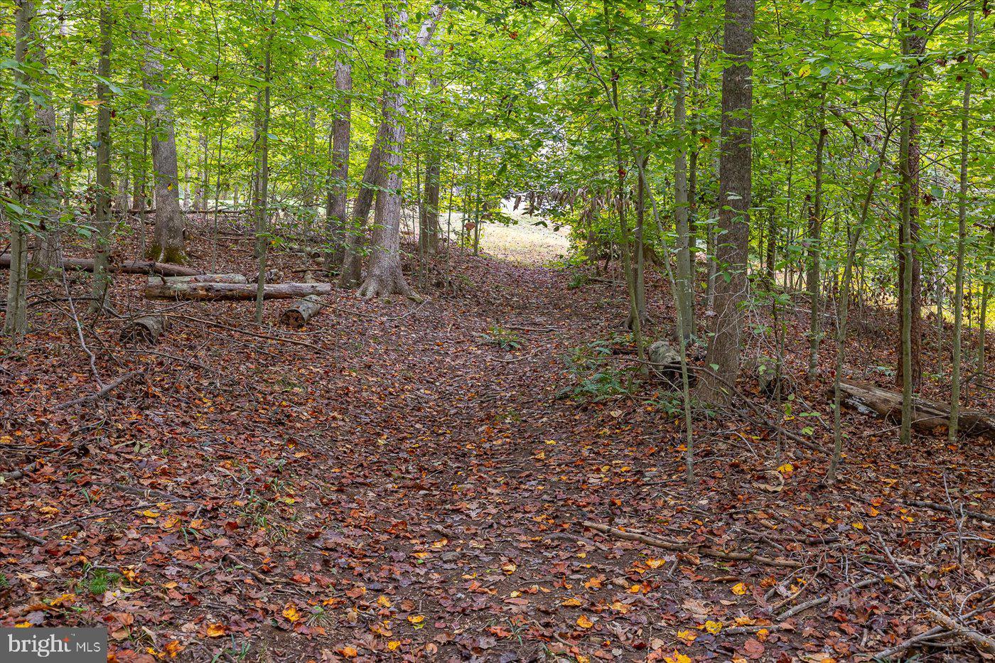 THE PALISADES - Residential