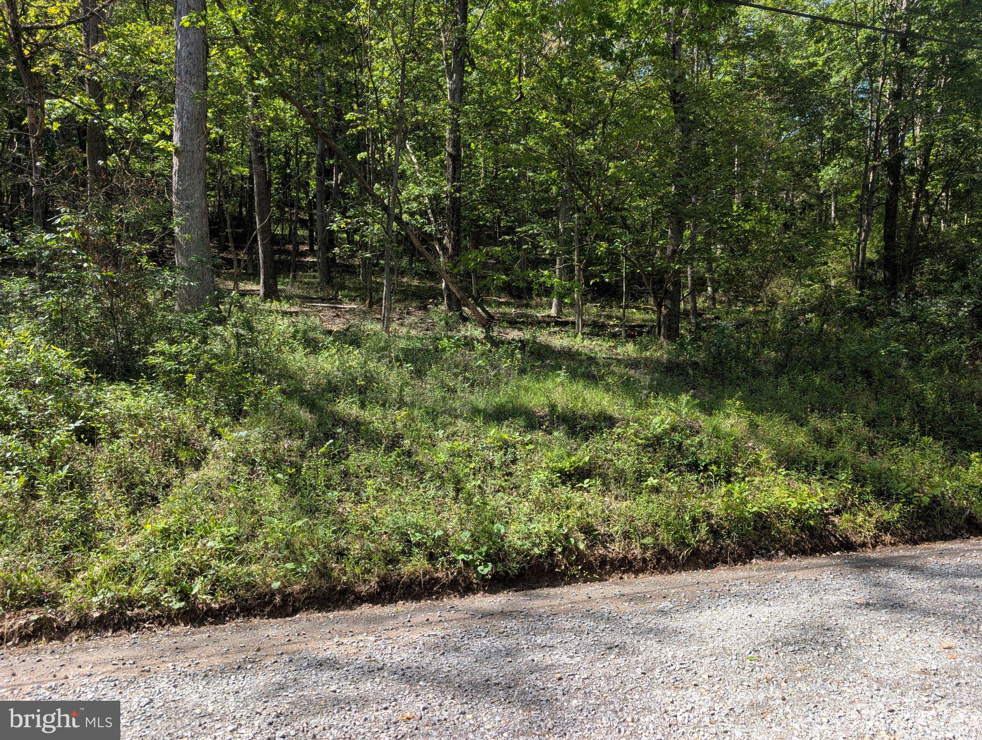 VALLEY HIGH TIMBER FARMS - Land
