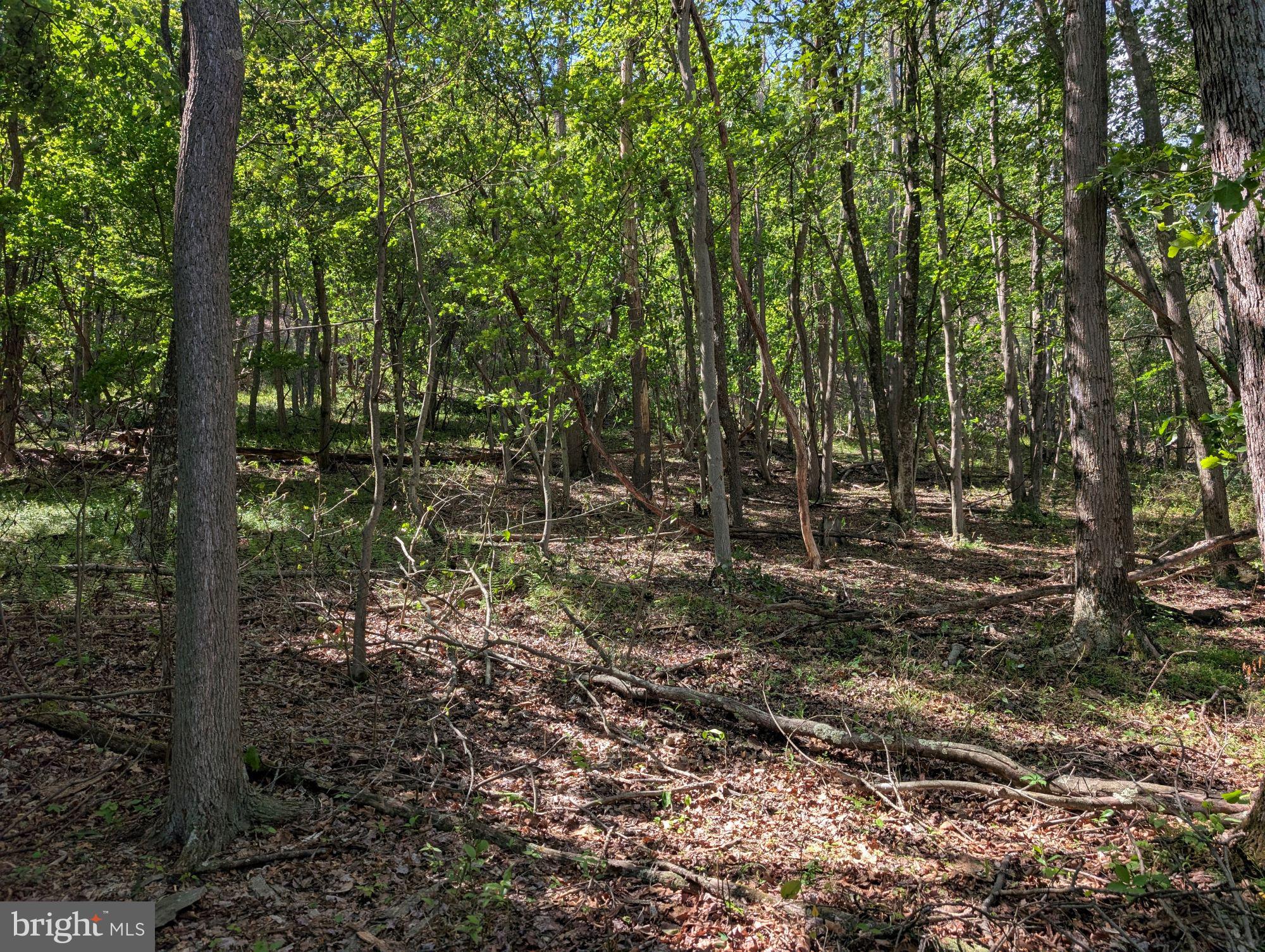 VALLEY HIGH TIMBER FARMS - Land