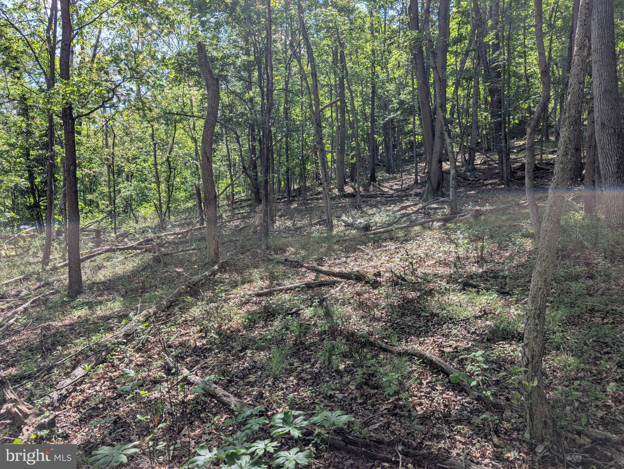 VALLEY HIGH TIMBER FARMS - Land
