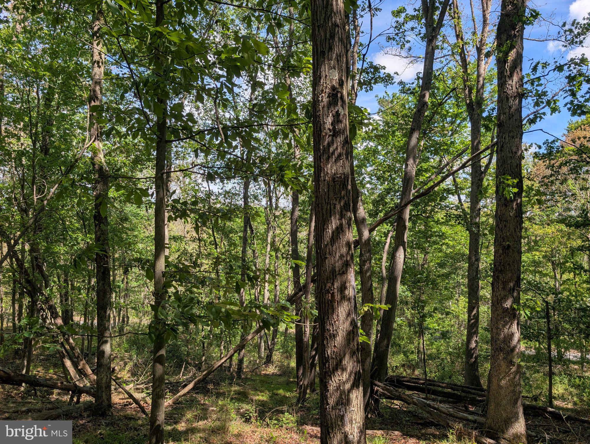 VALLEY HIGH TIMBER FARMS - Land