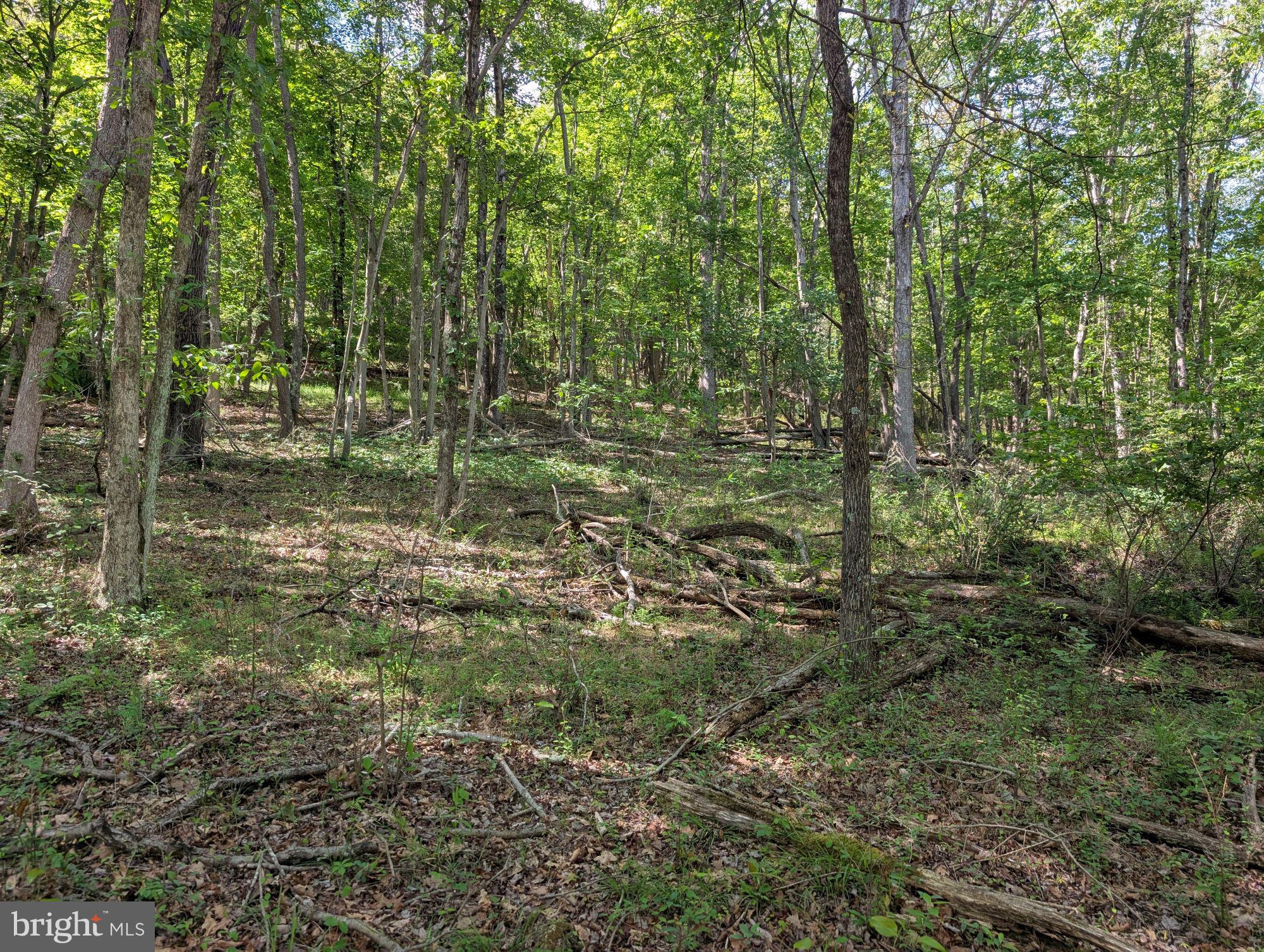 VALLEY HIGH TIMBER FARMS - Land