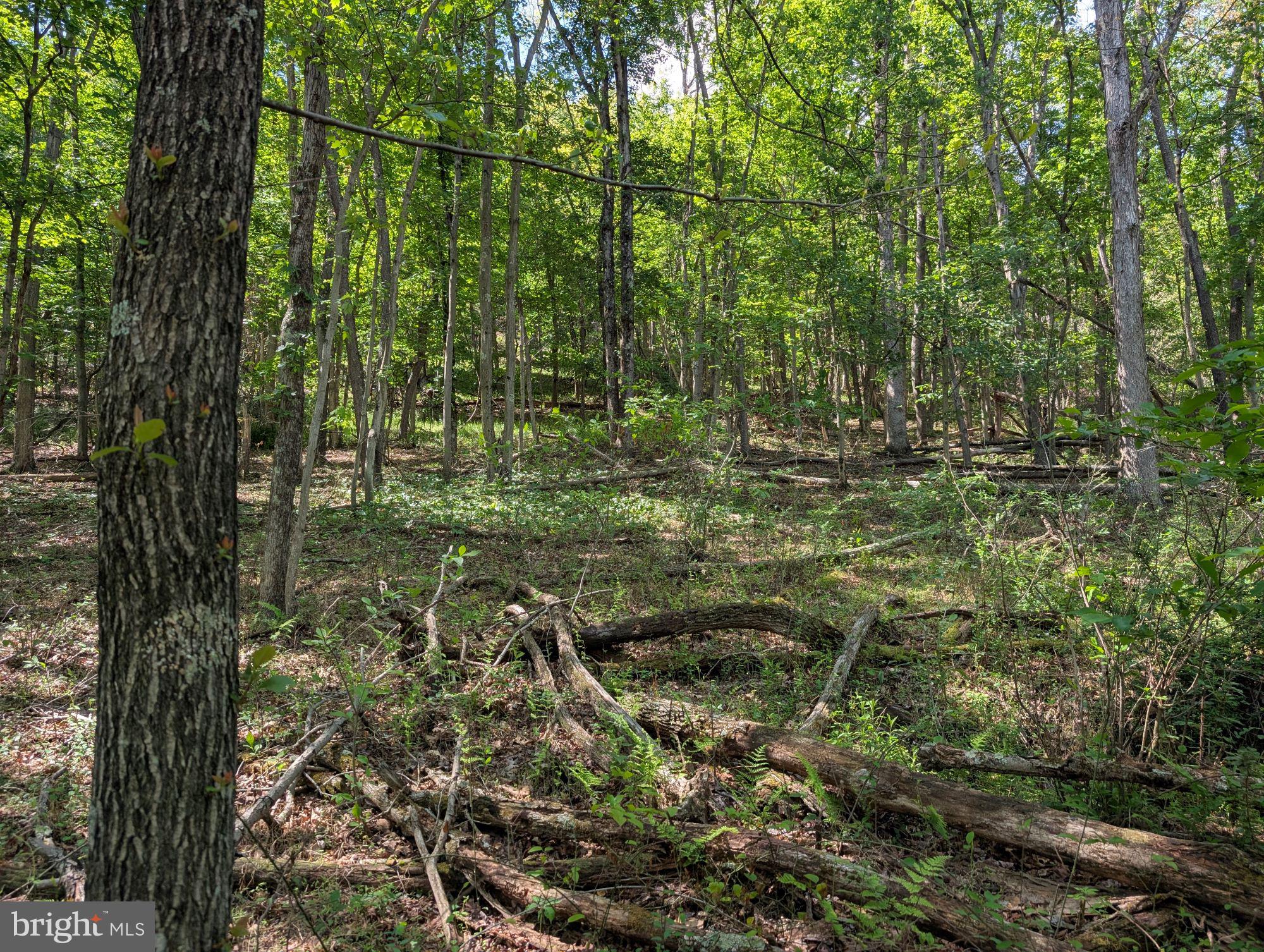 VALLEY HIGH TIMBER FARMS - Land