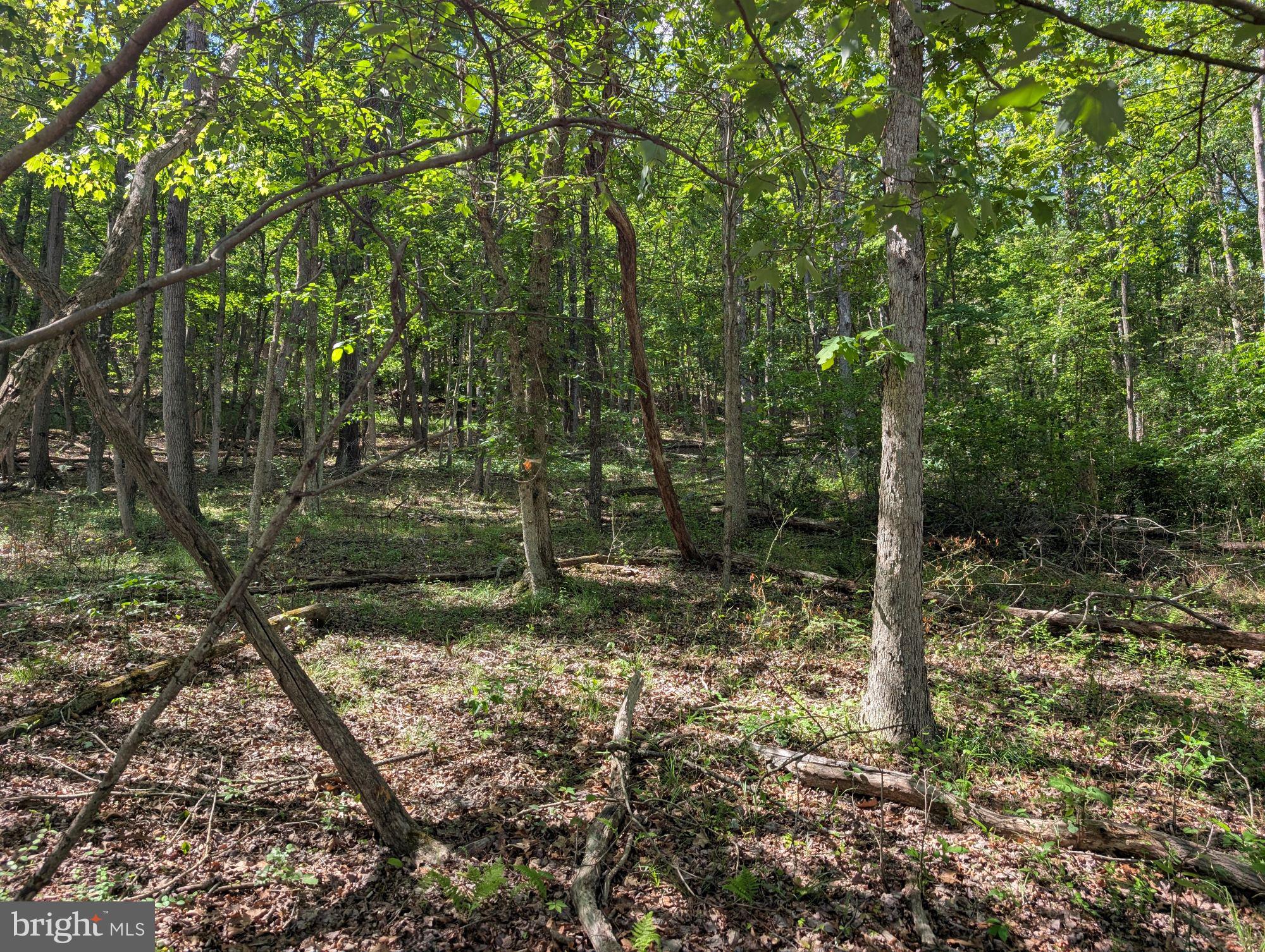 VALLEY HIGH TIMBER FARMS - Land