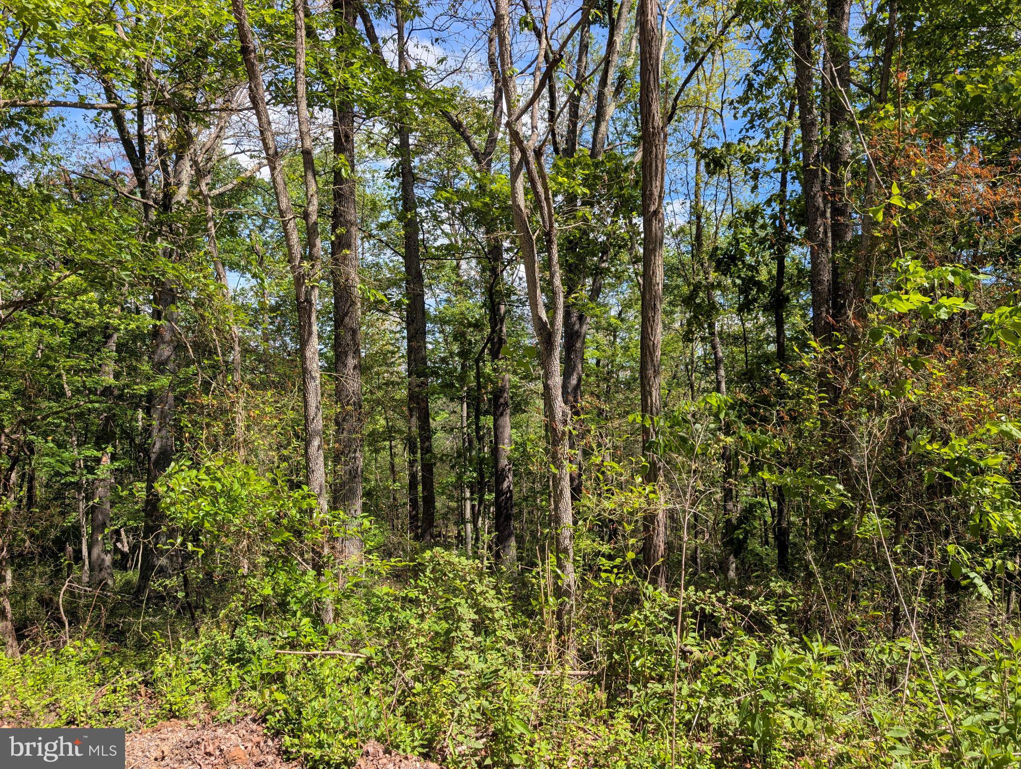 VALLEY HIGH TIMBER FARMS - Land