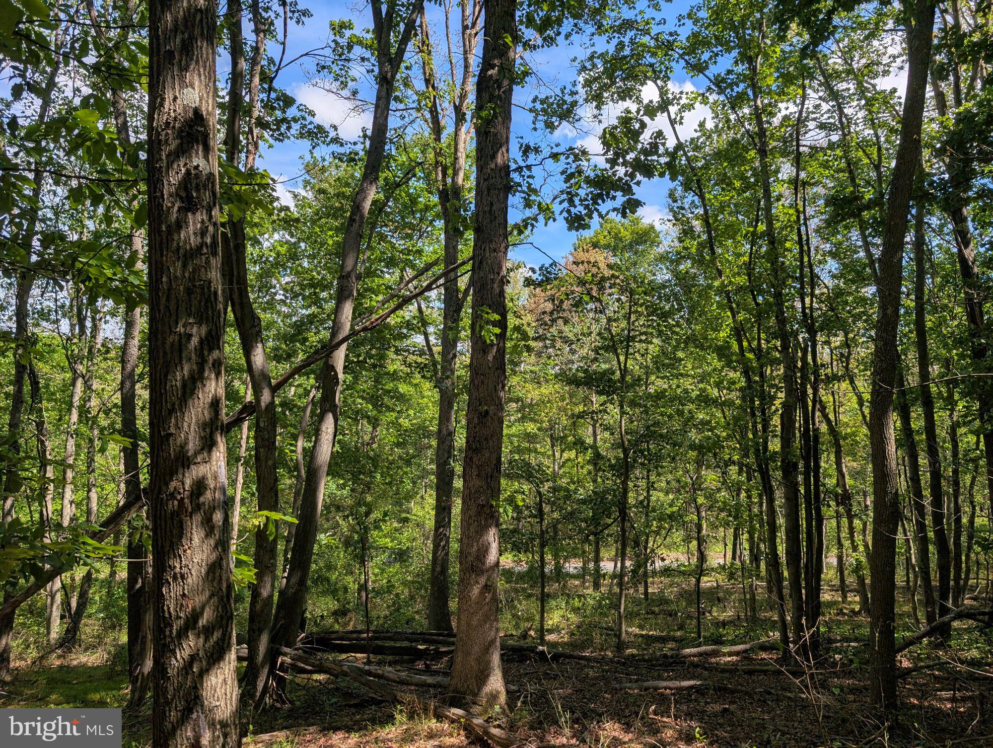 VALLEY HIGH TIMBER FARMS - Land