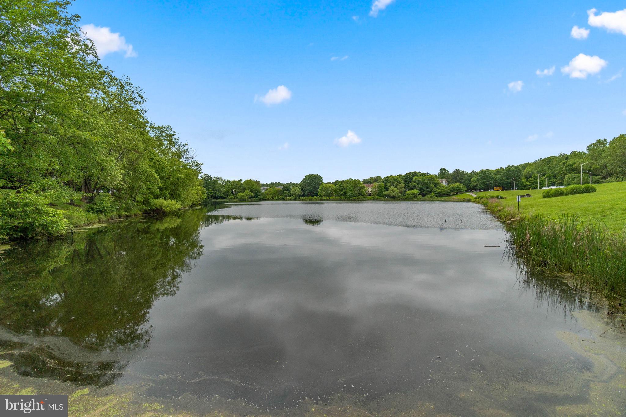 GUNNERS LAKE VILLAGE - Residential