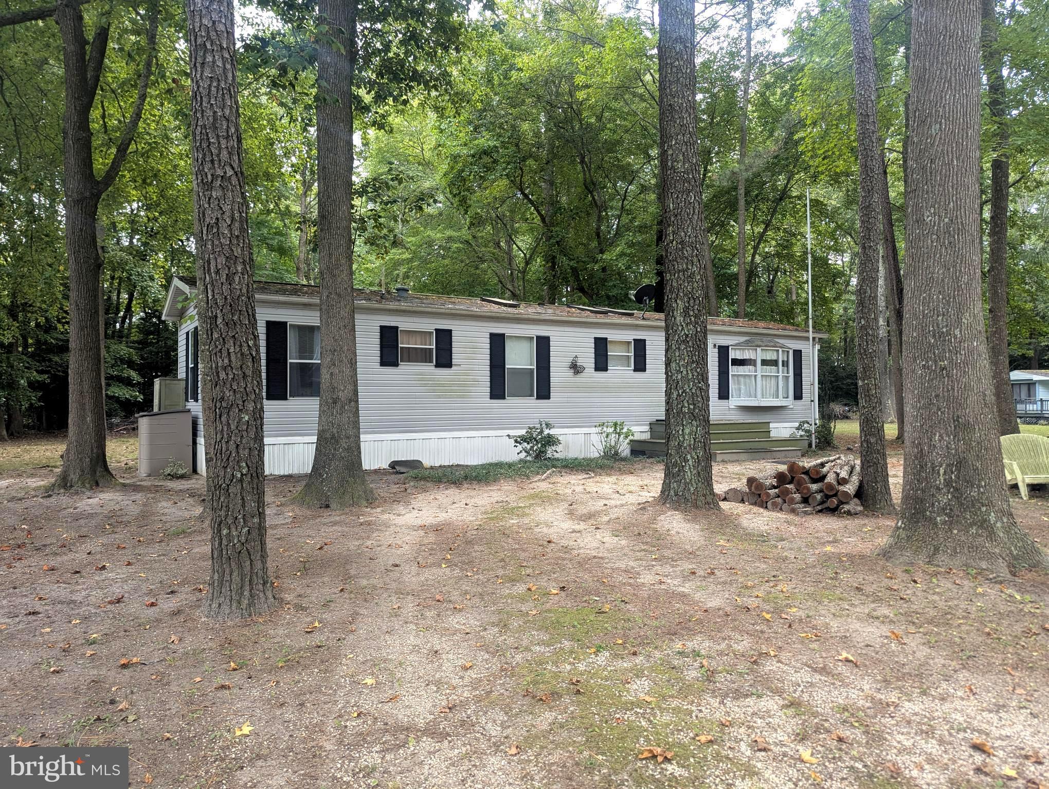 36001 SQUIRRELS RUN CIRCLE