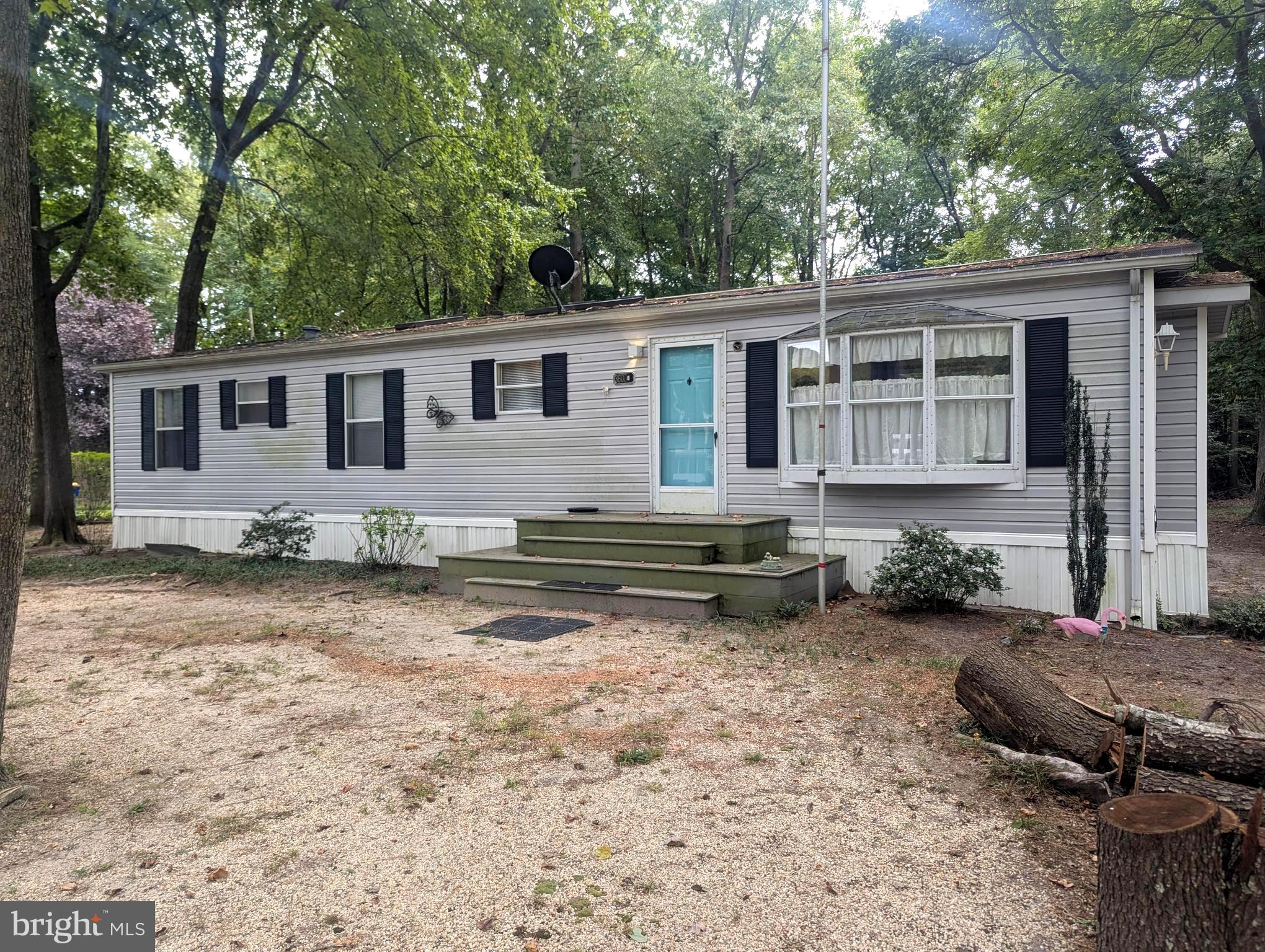 36001 SQUIRRELS RUN CIRCLE