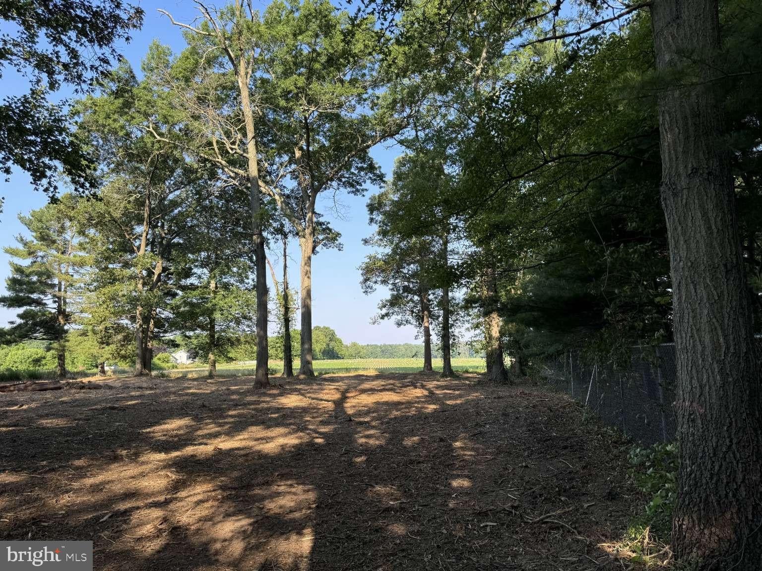 22 NUTT LANE