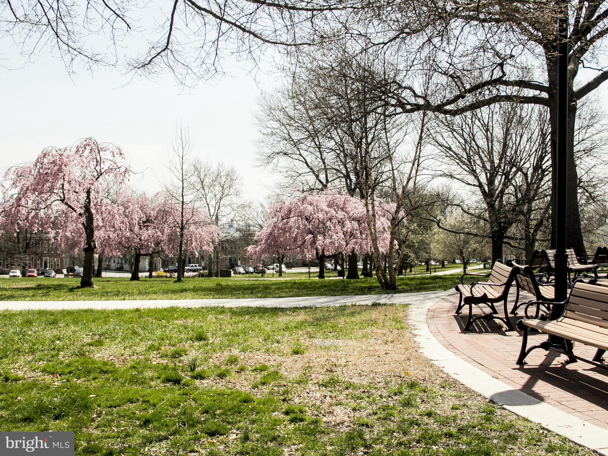FEDERAL HILL HISTORIC DISTRICT - Residential