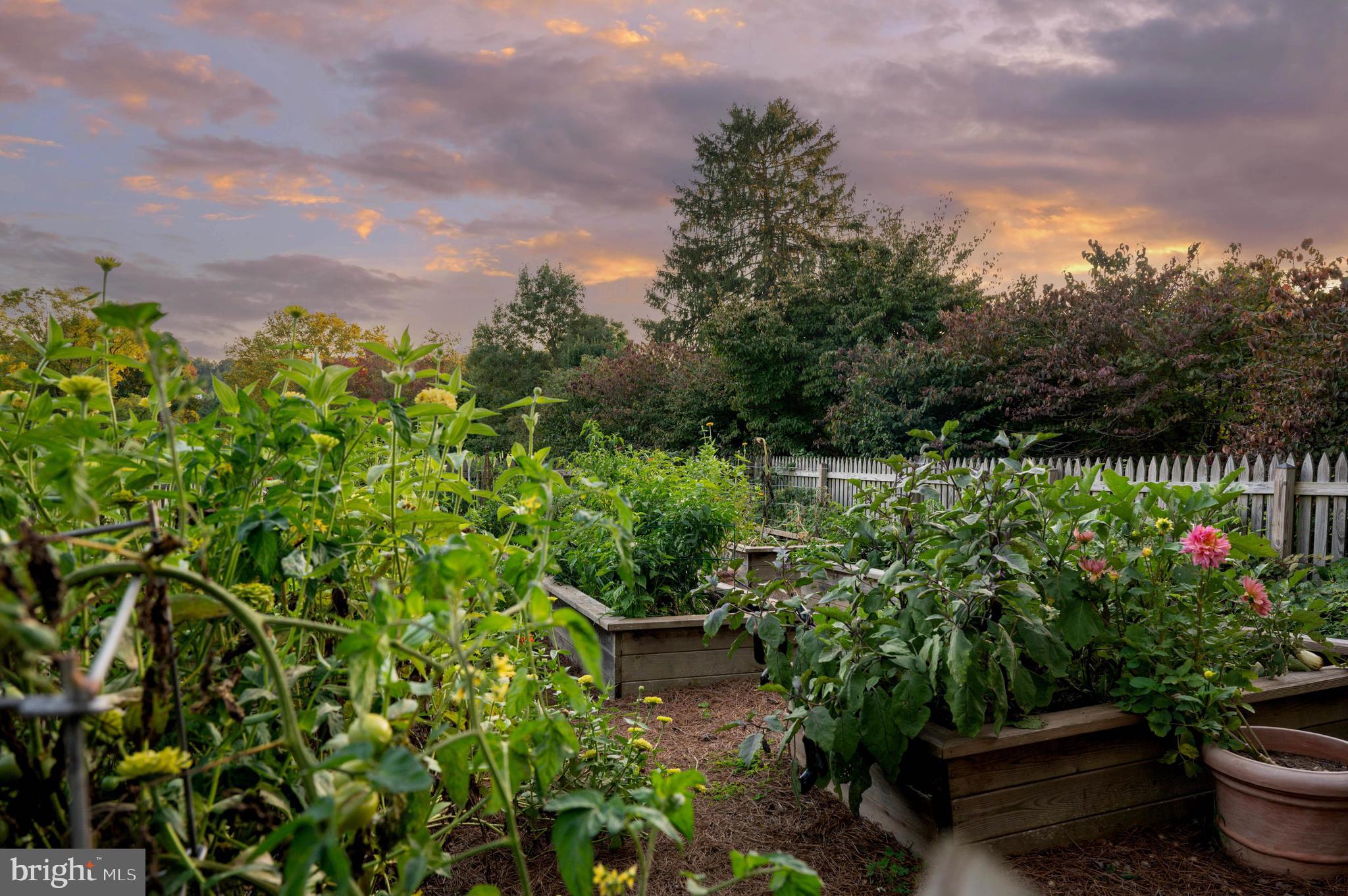 GREENSPRING VALLEY - Residential