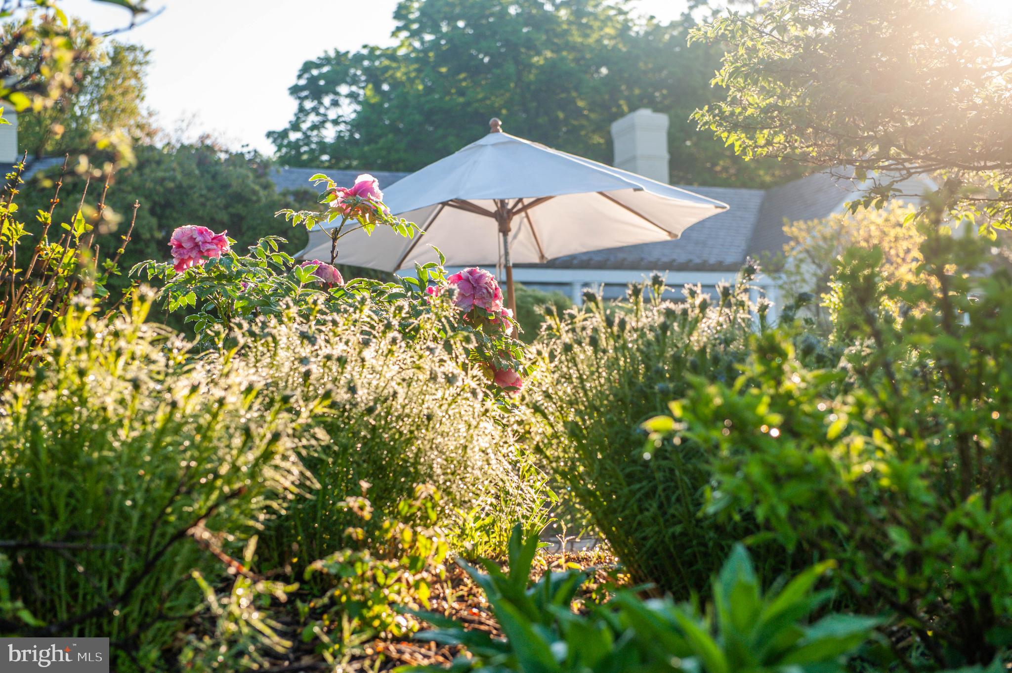 GREENSPRING VALLEY - Residential