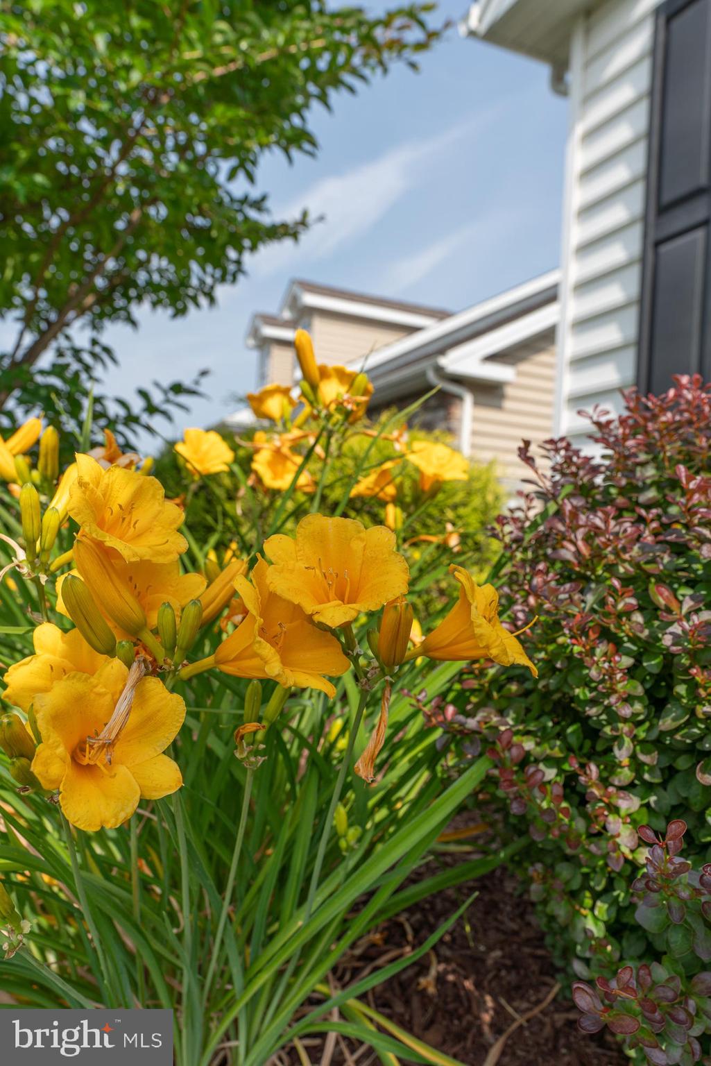 TRADITIONS OF AMERICA AT SAUCON VALLEY - Residential