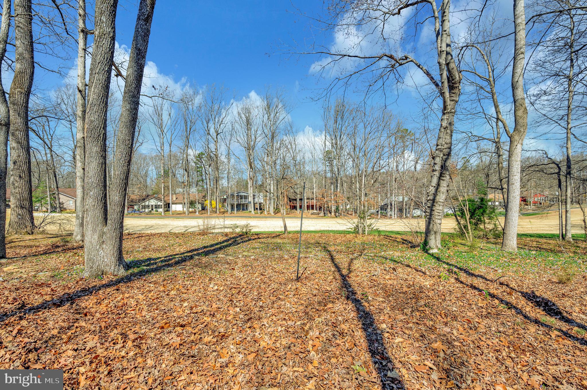 LAKE OF THE WOODS - Residential