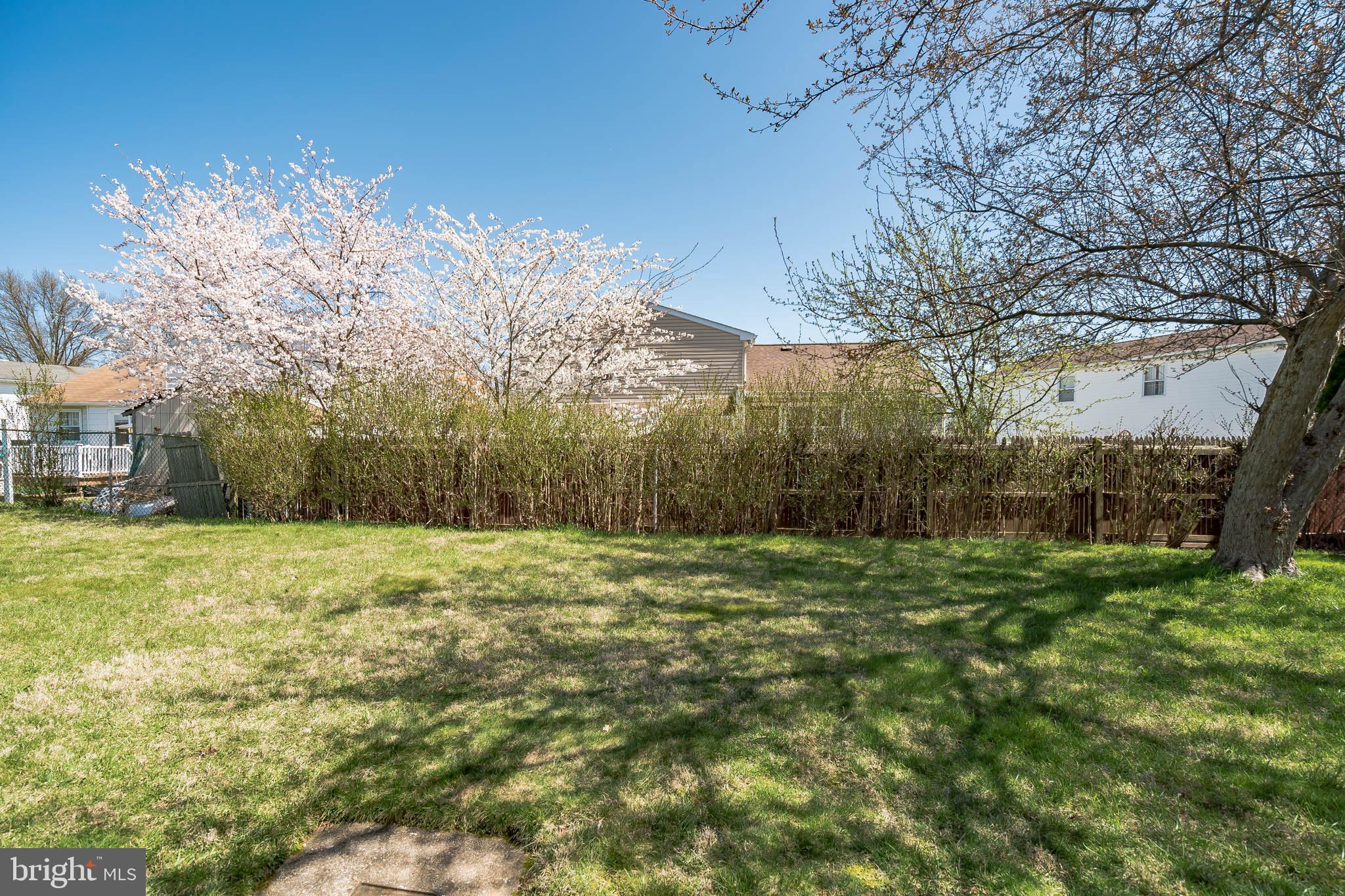 PINE VALLEY - Residential