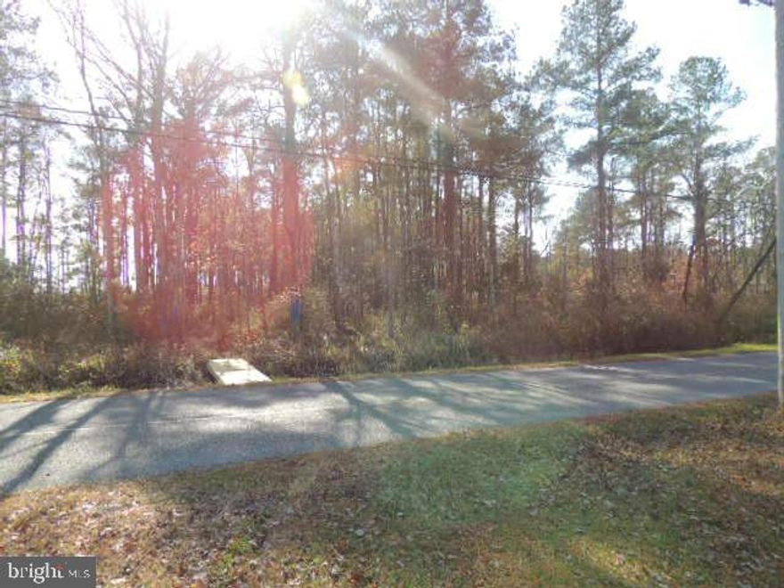 For Sale – 23 Acres of Raw Land in Princess Anne, MD (Somerset County)
Discover an exceptional opportunity to own 23 acres of versatile raw land located on Mt. Vernon Rd in Princess Anne, Maryland (21853). This expansive property includes a 20-acre primary parcel plus an additional 3-acre parcel, offering a total of 871,200 sq. ft. of land.
Currently used for agricultural recrational purposes, this property provides a blank canvas for a variety of future uses—whether you're considering farming, recreation, long-term investment, or potential development (subject to county approvals).
The land features a peaceful rural setting surrounded by the natural beauty Somerset County is known for. Please note: the owners request that all potential buyers refrain from climbing the aged deer stands located on the property for safety reasons.
With its size, location, and flexibility, this property presents a rare opportunity for buyers seeking space, privacy, and potential.