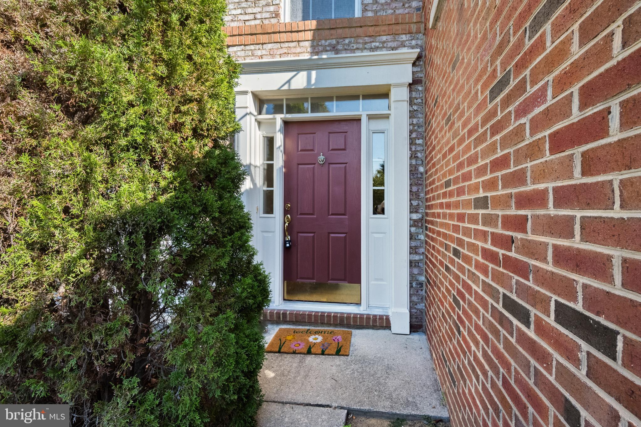 41904 BERYL TERRACE