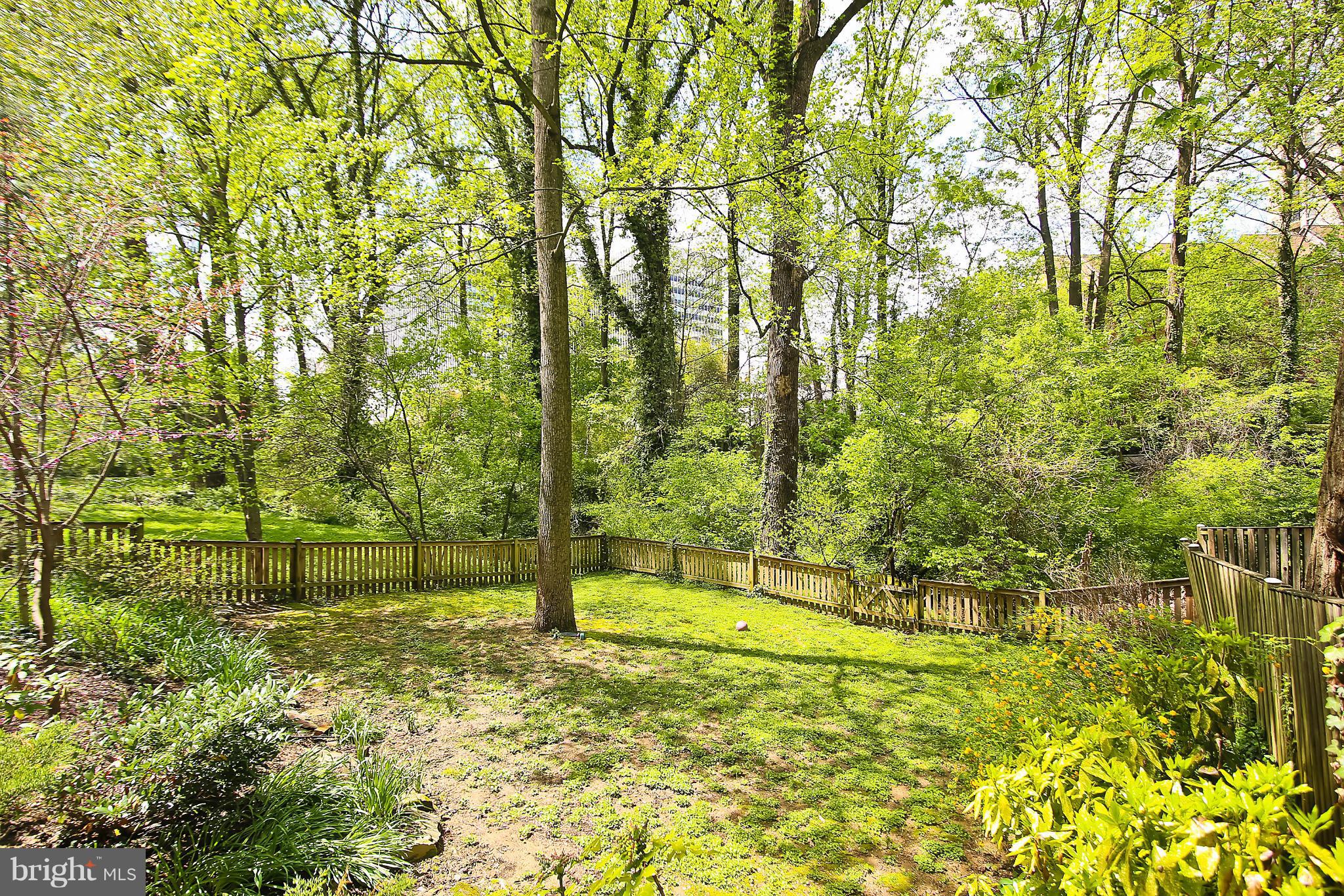 TARRYTOWN PARK - Residential Lease