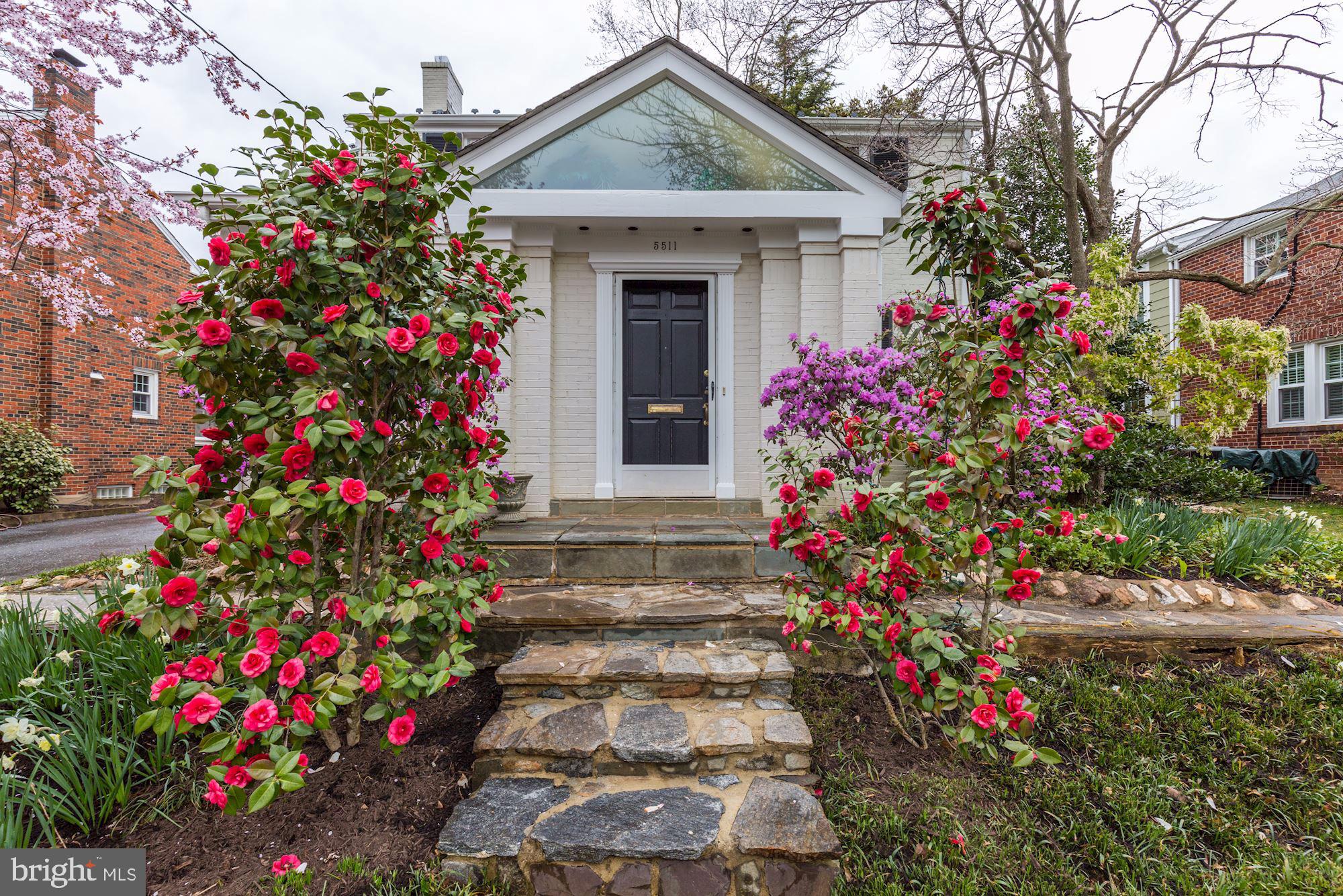 ALTA VISTA - Residential