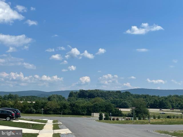 MAGNOLIA SPRINGS - Residential