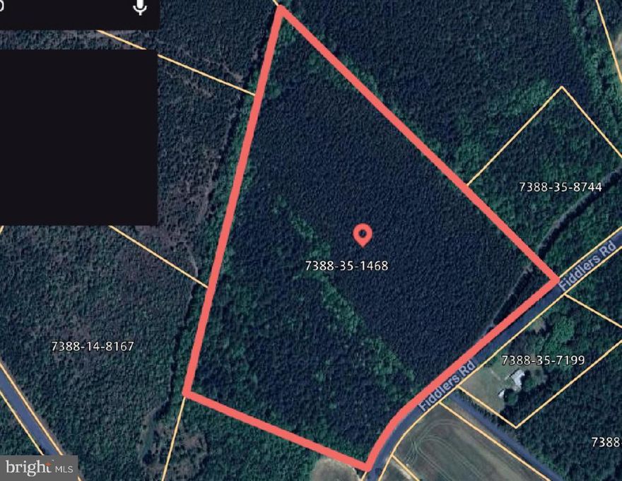 Do your due diligence with surveys, utilities, permits,  buildability. Raw land opportunity. Please schedule on line.Conveniently located just minutes from downtown Emporia, Virginia, this beautiful 25-acre wooded tract offers the perfect balance of peaceful country living and everyday convenience. With easy access to major corridors, the property sits approximately 14 miles from the Virginia/North Carolina state line and just 20 miles from Roanoke Rapids, making travel, commuting, and weekend getaways simple and stress-free.
Completely wooded for privacy, this expansive parcel is ideal for outdoor enthusiasts, hunters, or anyone seeking a quiet retreat surrounded by nature. Whether you envision a secluded hunting getaway, a serene retirement homestead, or the custom home of your dreams, this land provides endless possibilities. The abundant road frontage adds flexibility for driveway placement, future development, or simply enhancing accessibility while maintaining seclusion.
Despite its tranquil setting, the property is not far from shopping, schools, medical facilities, and a variety of local restaurants, allowing you to enjoy modern conveniences without sacrificing the calm of rural living. Mature trees, natural beauty, and the soothing sounds of nature create a true escape from the hustle and bustle.
Come home to your own private oasis — a rare opportunity to own a sizable, wooded property that combines space, privacy, and location. This is country living at its best, with room to roam and the freedom to create the lifestyle you’ve been dreaming of.