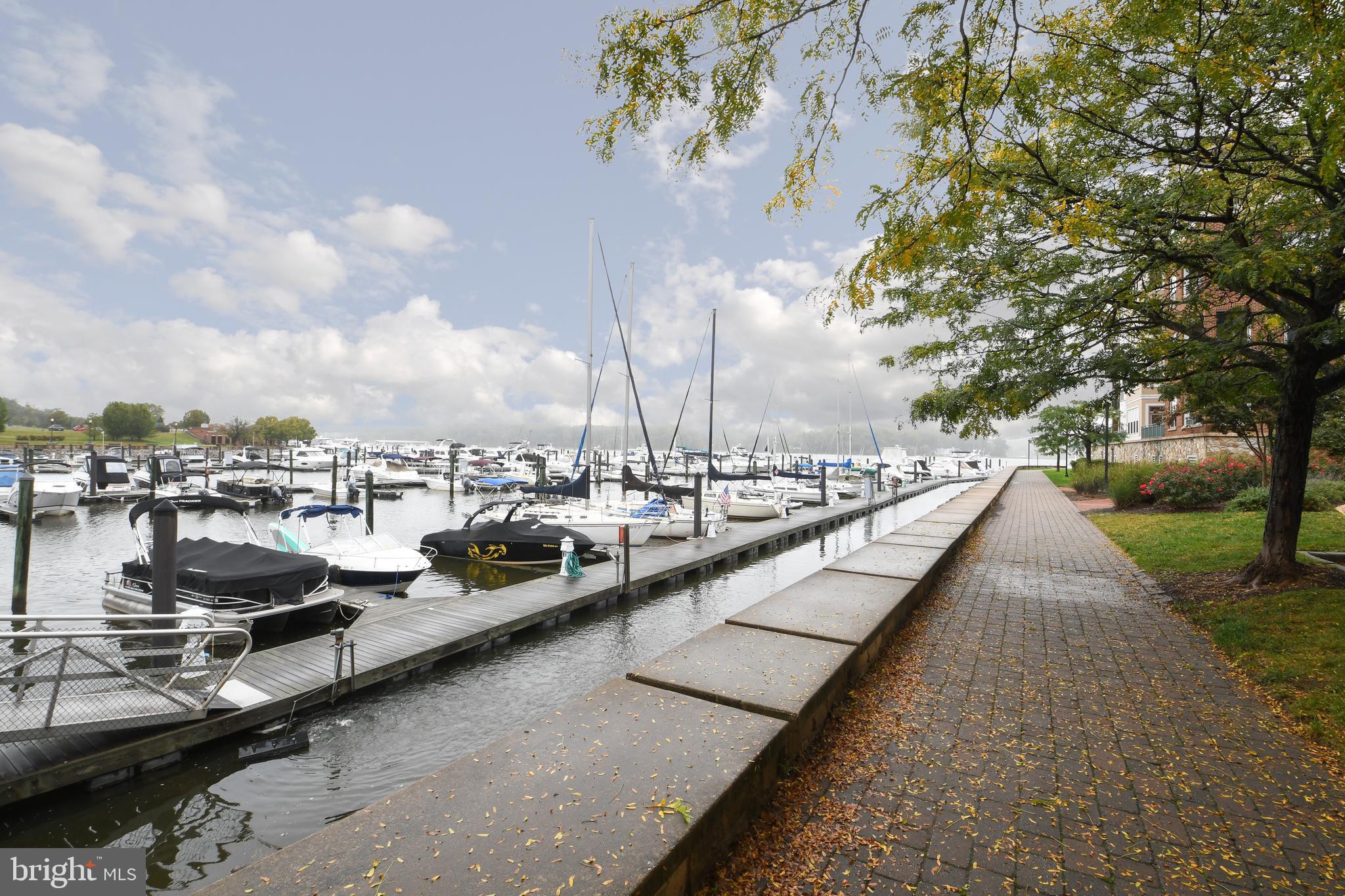 BELMONT BAY - Residential