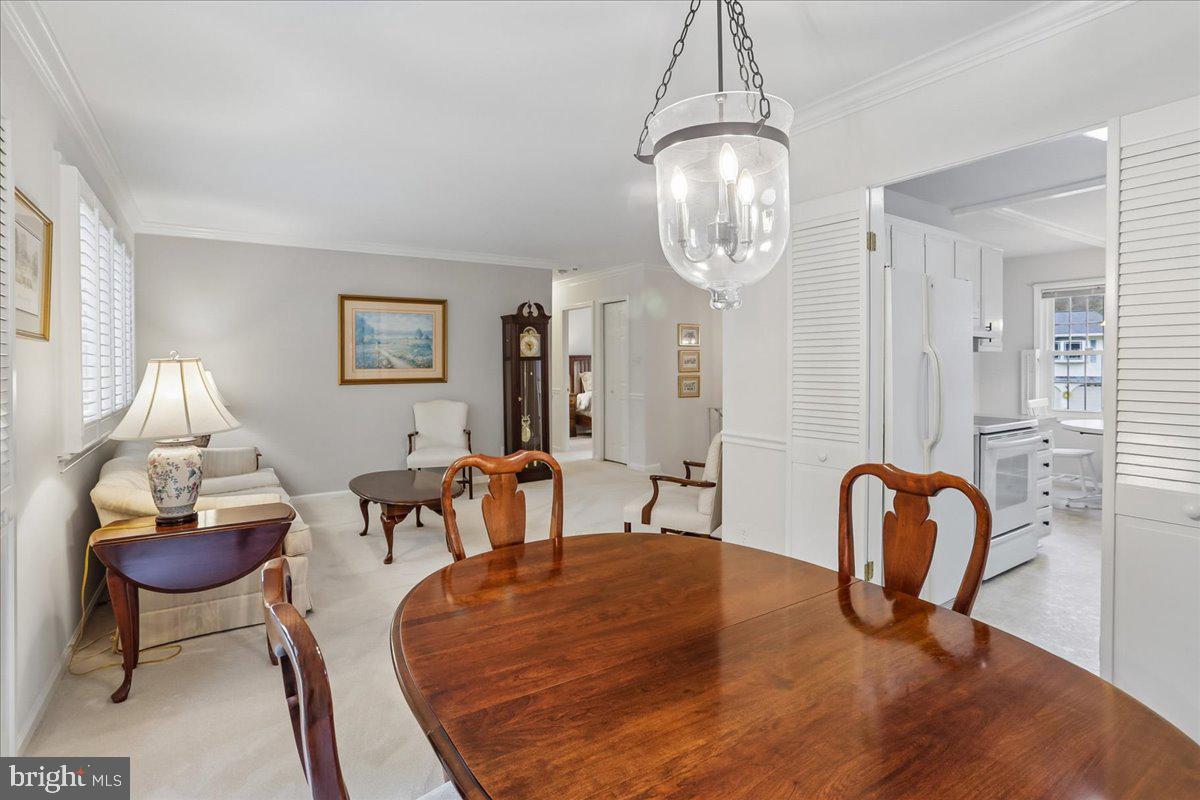 OLNEY ACRES - Residential