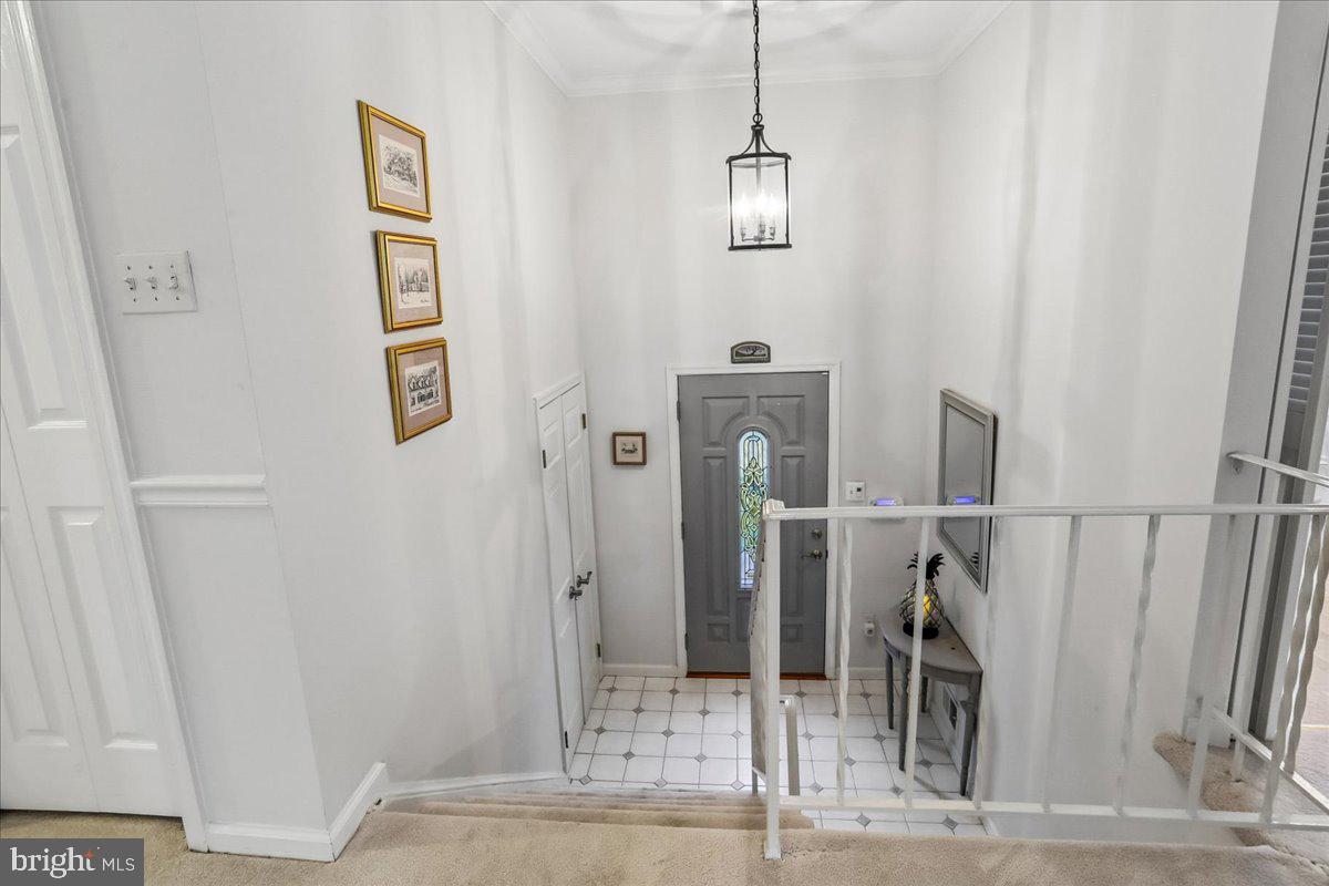 OLNEY ACRES - Residential